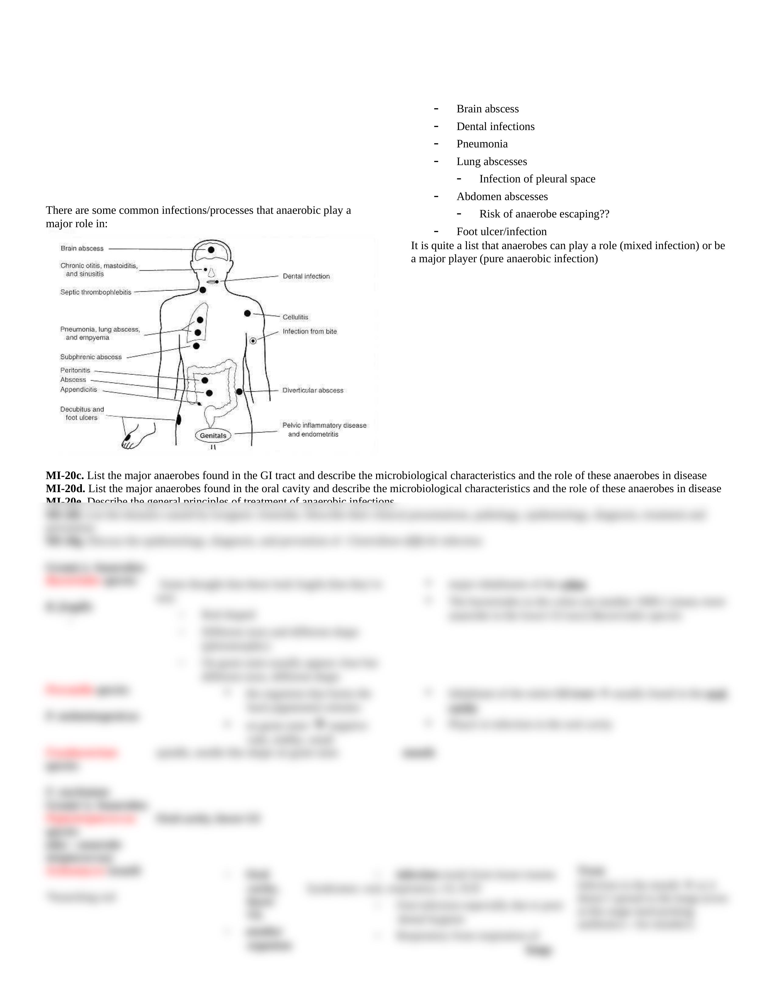 Lecture 07 - Anaerobic Infections_d96gt7itoxl_page2