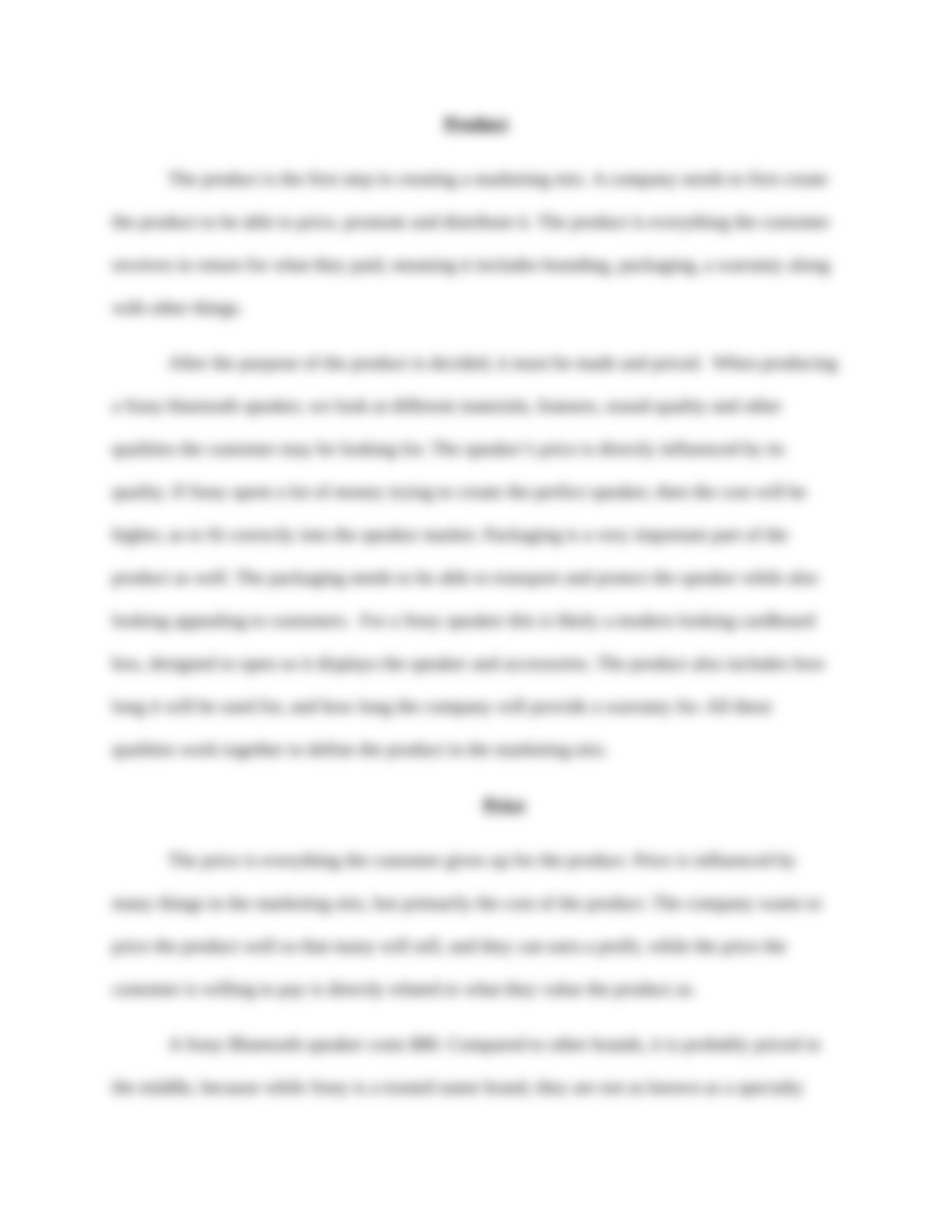 marketing mix reflection micah sandhu.docx_d99ew7shjvz_page3