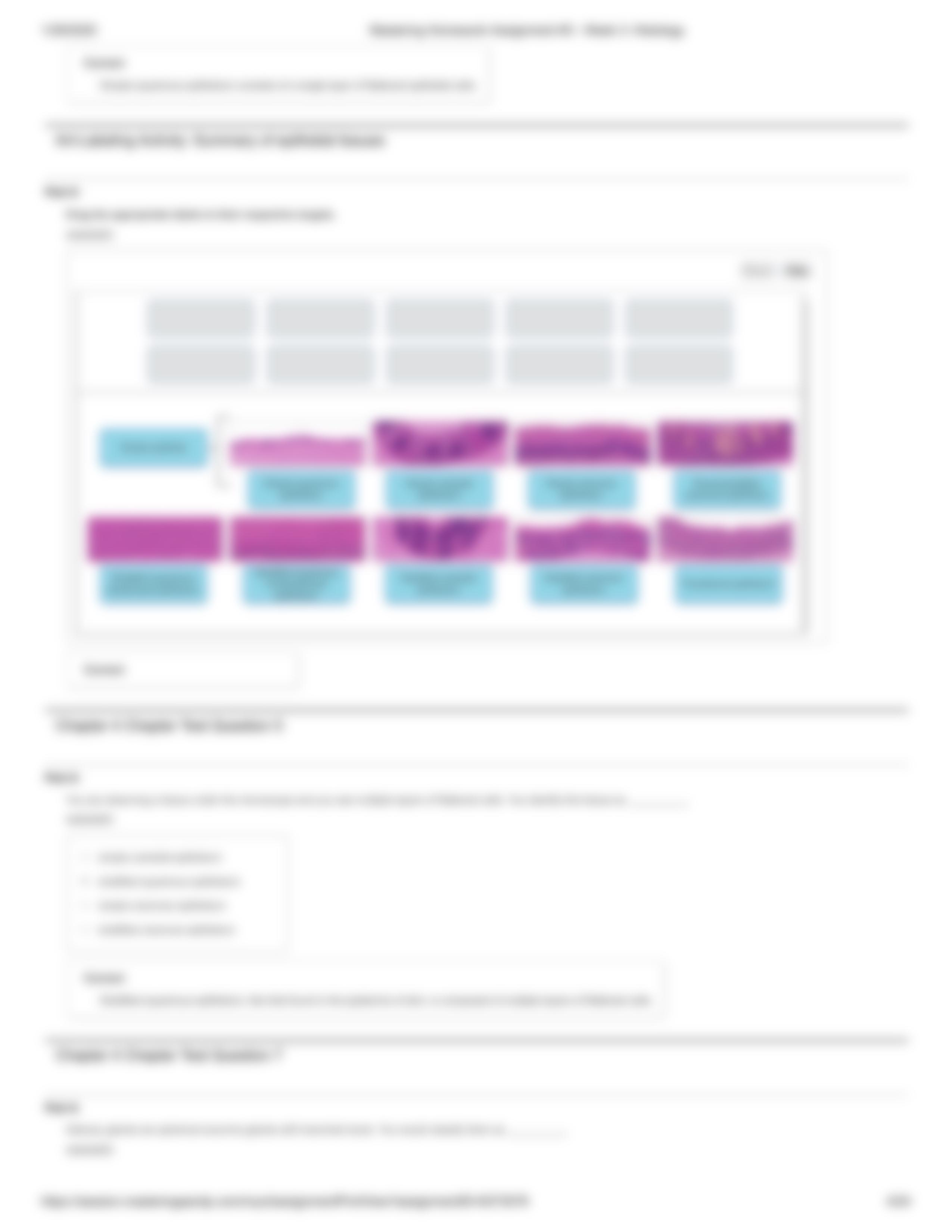 Mastering Homework Assignment #3 - Week 3_ Histology.pdf_d9acyu2ko3z_page4