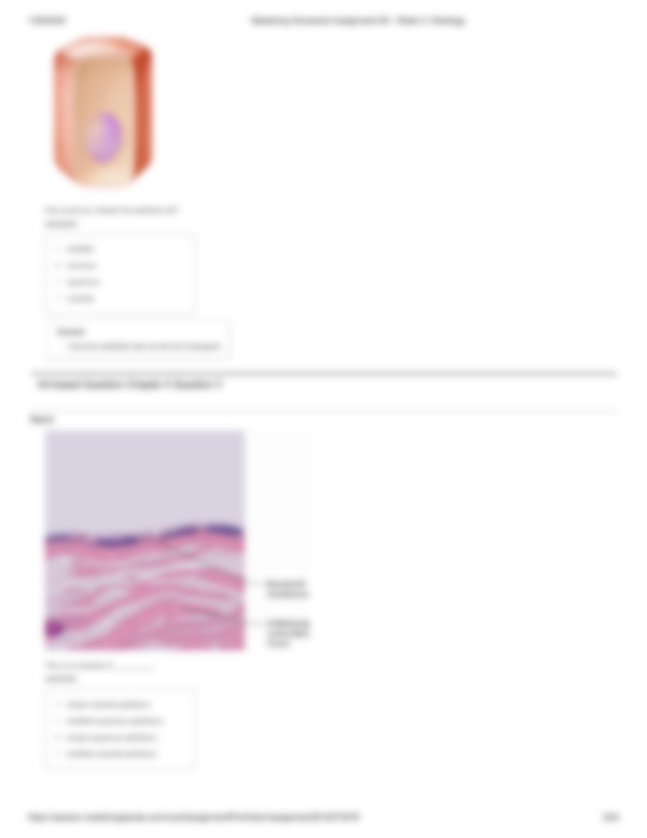 Mastering Homework Assignment #3 - Week 3_ Histology.pdf_d9acyu2ko3z_page3