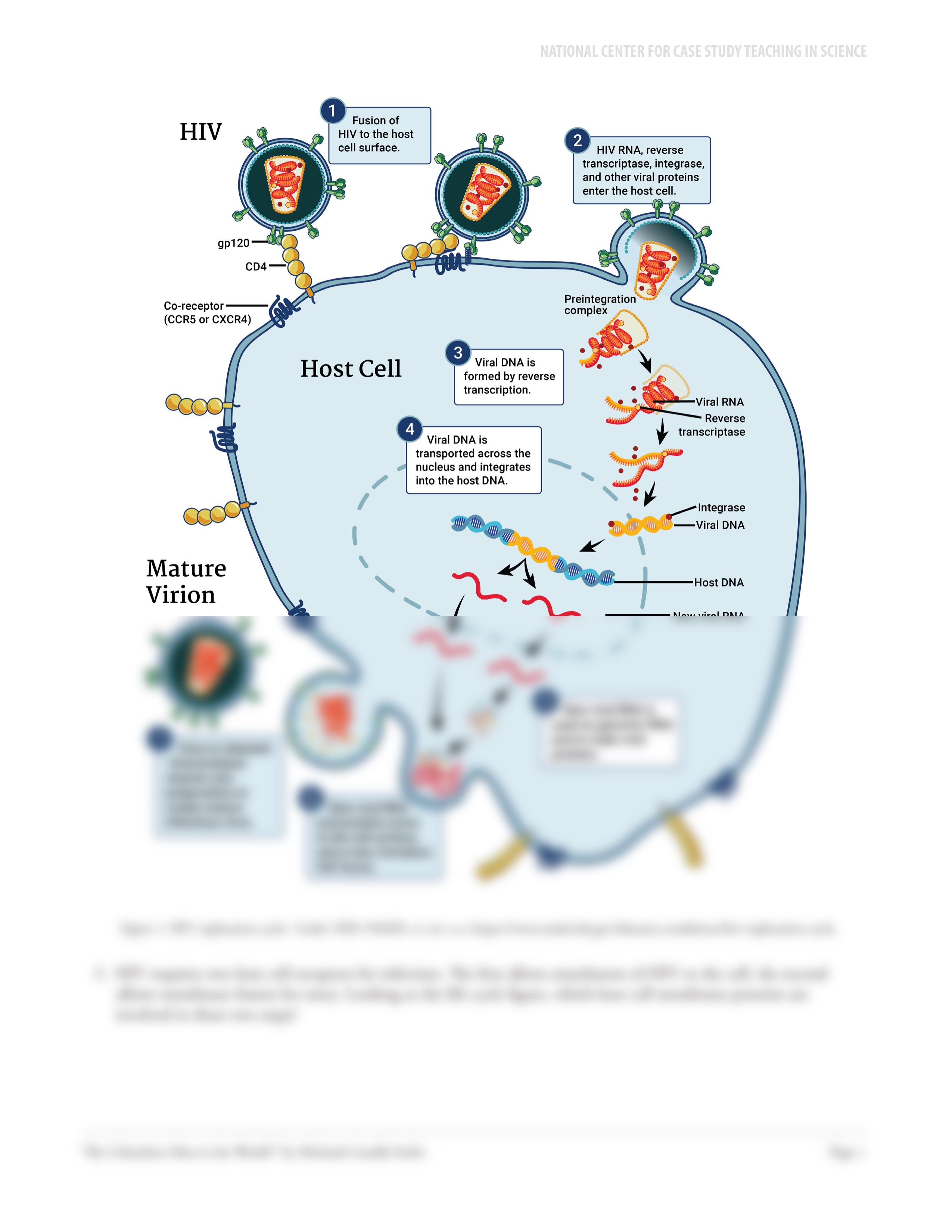 Kami Export - The Unluckiest Man in the World_ An Examination of Immune System Function.pdf_d9ckcs6oj3h_page2