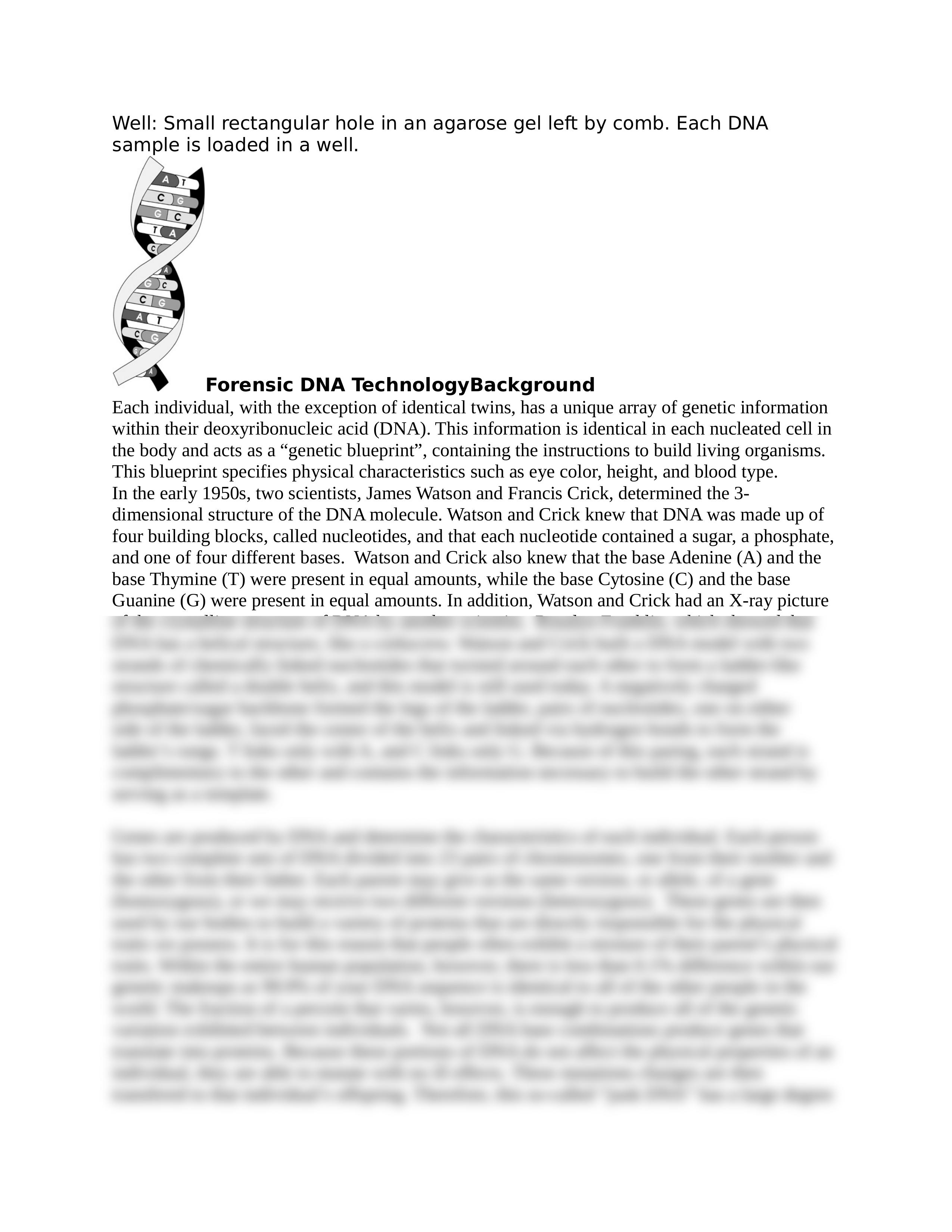 the_mystery_of_lyle_and_louise_identity_crisi_student_packets.docx_d9dhodxzelj_page2