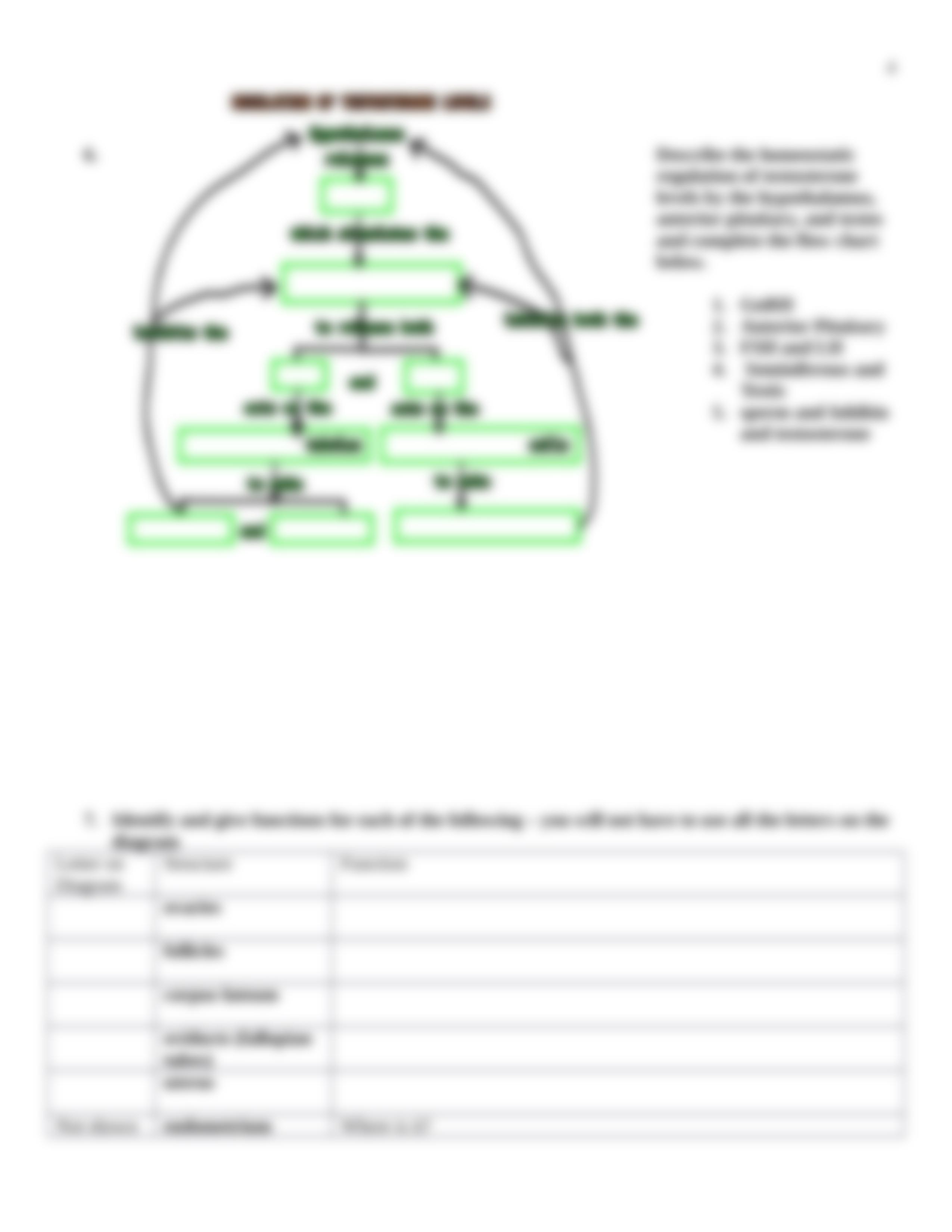 Reproductive System Worksheet_d9jw0gxlv5i_page4