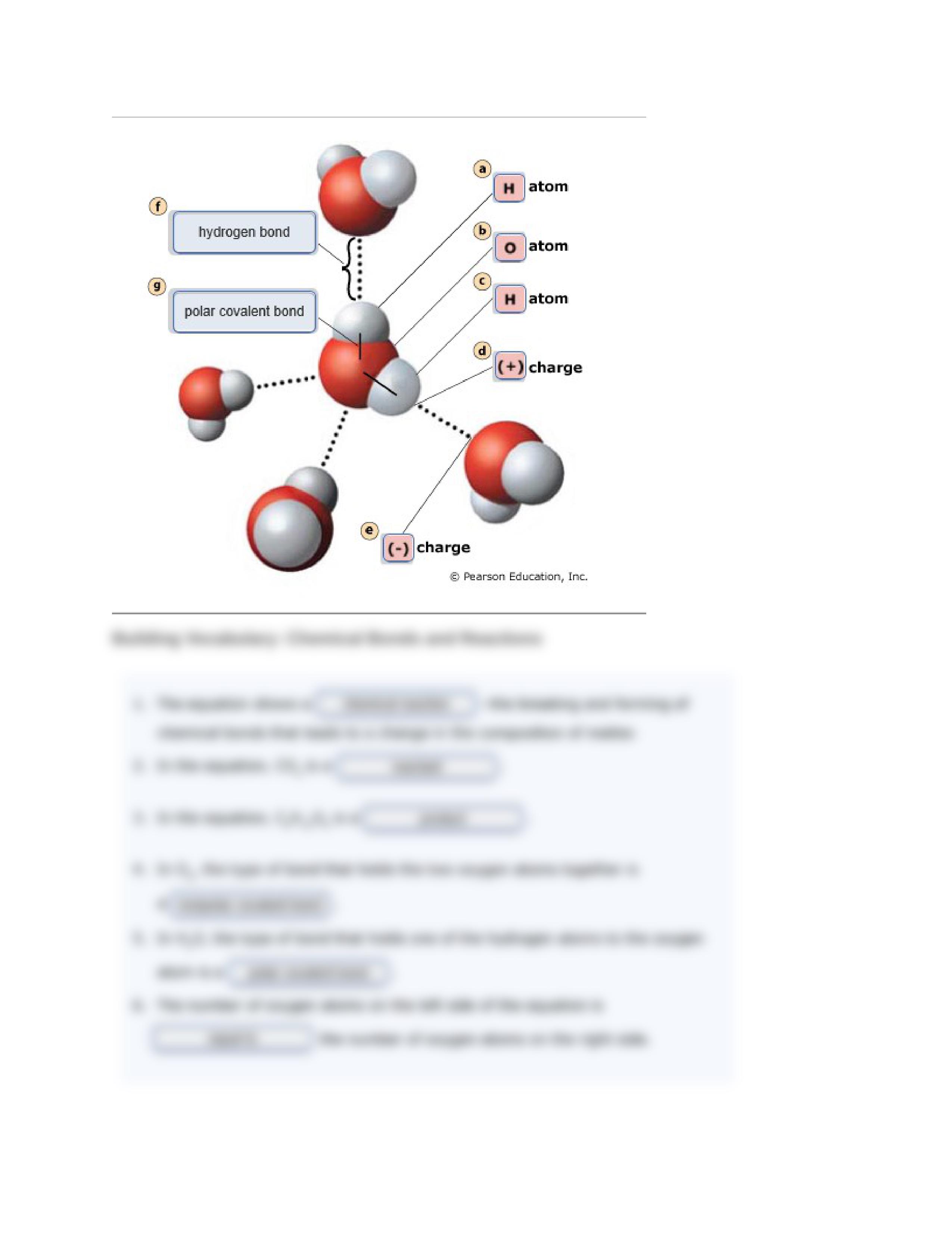 CHAPTER 2.docx_d9kfrhetdlf_page2