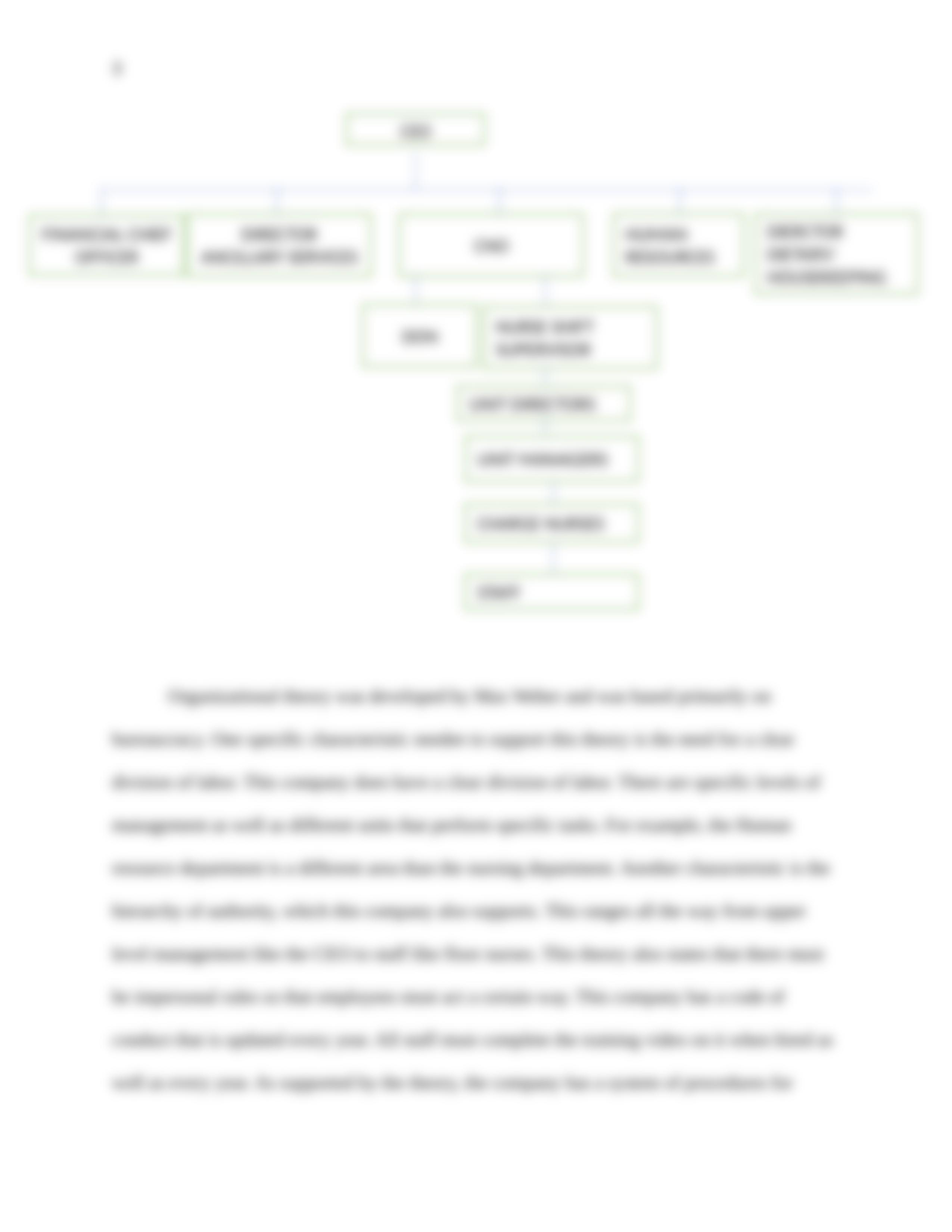 Organizational Structure.docx_d9pnnn3asqo_page3