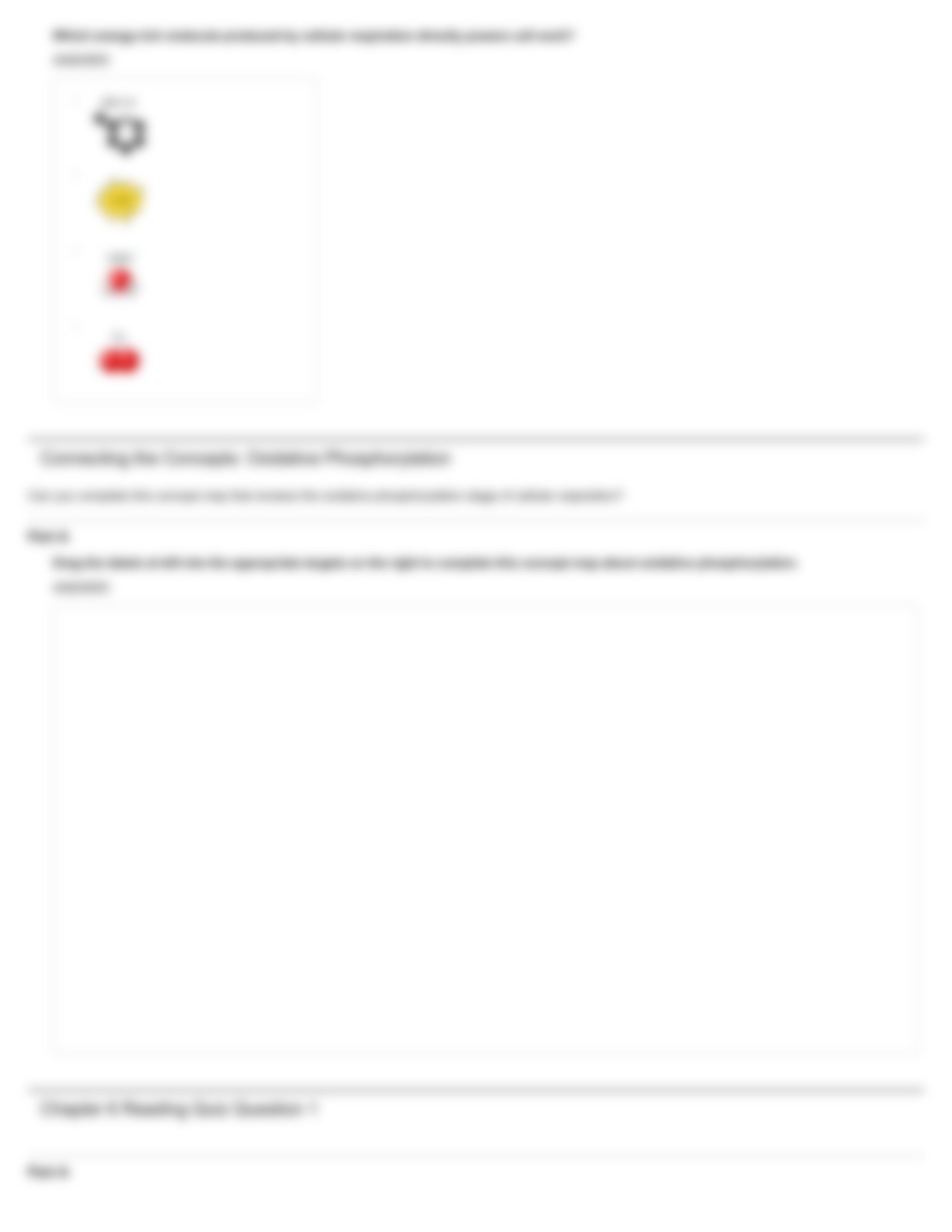 QUIZ_ Chapter 06_d9smn4y6khd_page4