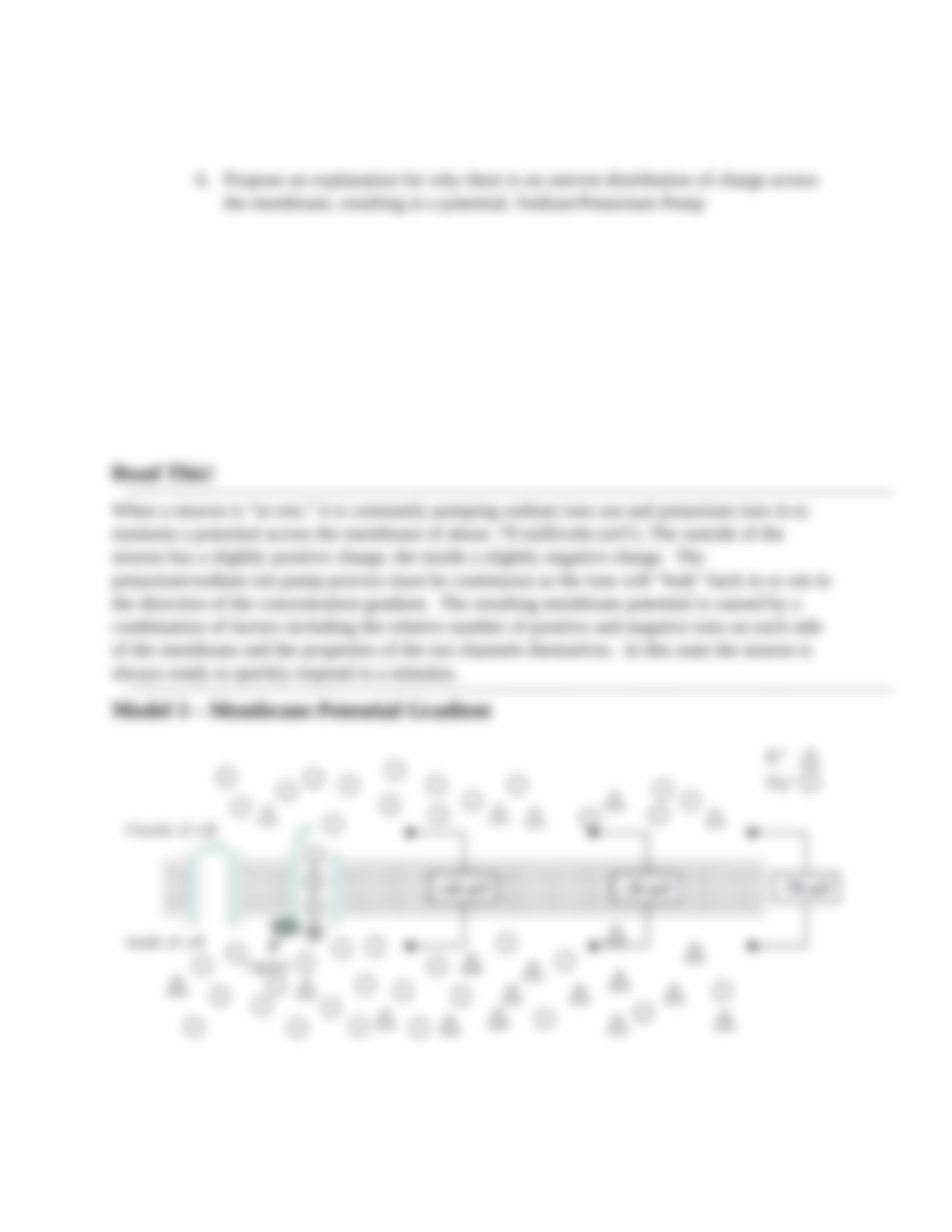 Neuron structure & Function Worksheet.docx_d9sr98ki4oj_page4