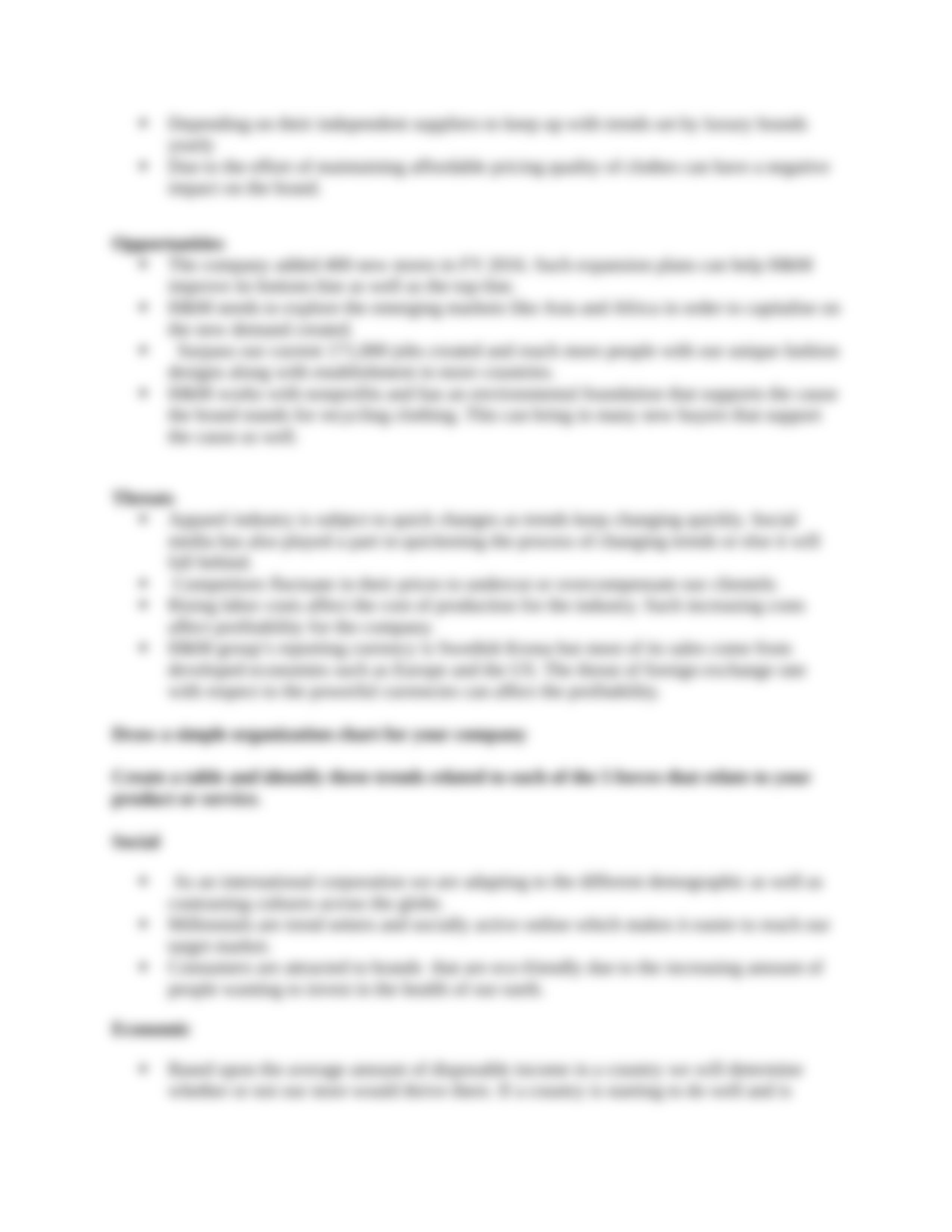 H&M Executive Summary .docx_d9vqm5h7sip_page3