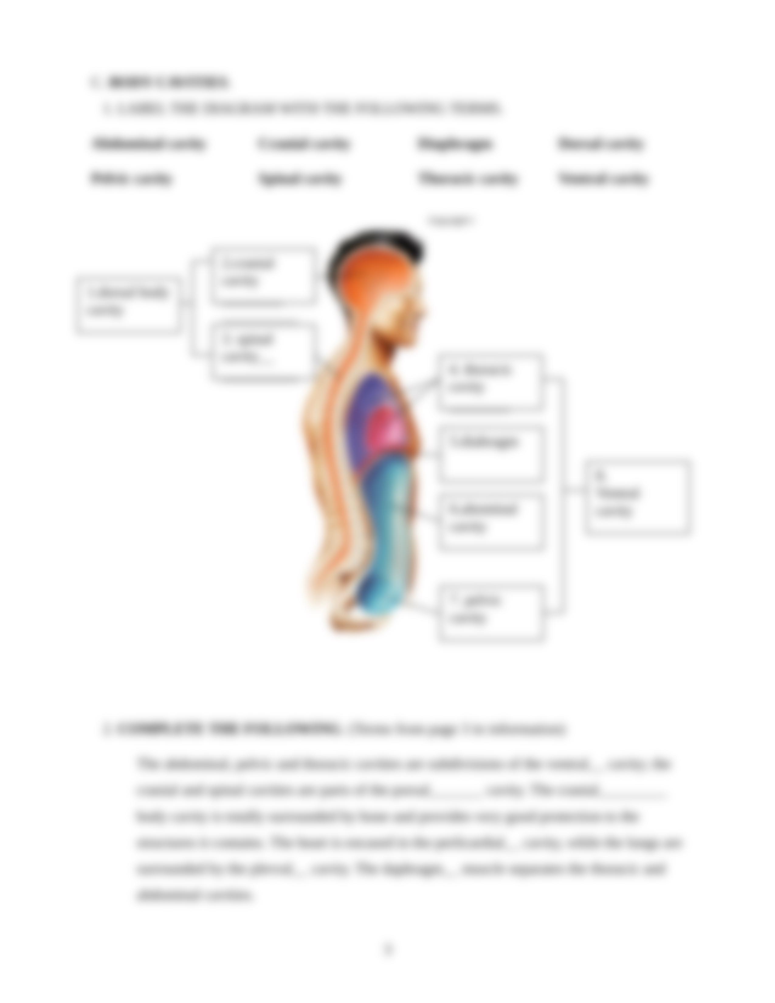 BIO 135 Lab 1 - Body Plan Worksheet_da0a79bfhur_page3