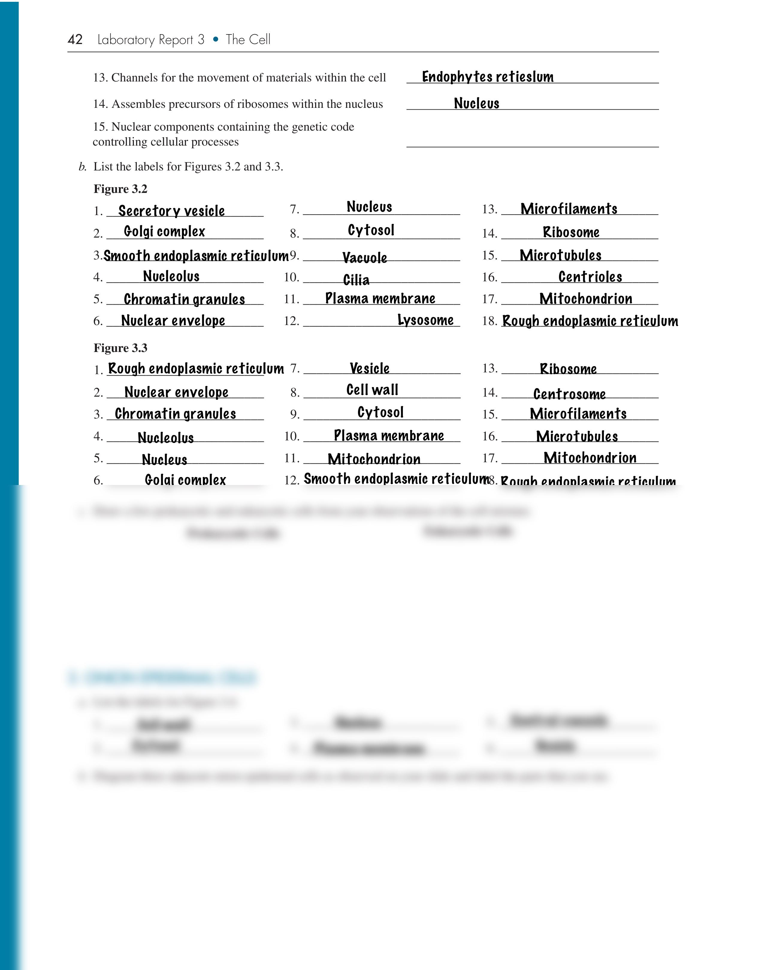 Lab 3_da1qpdpmi87_page2