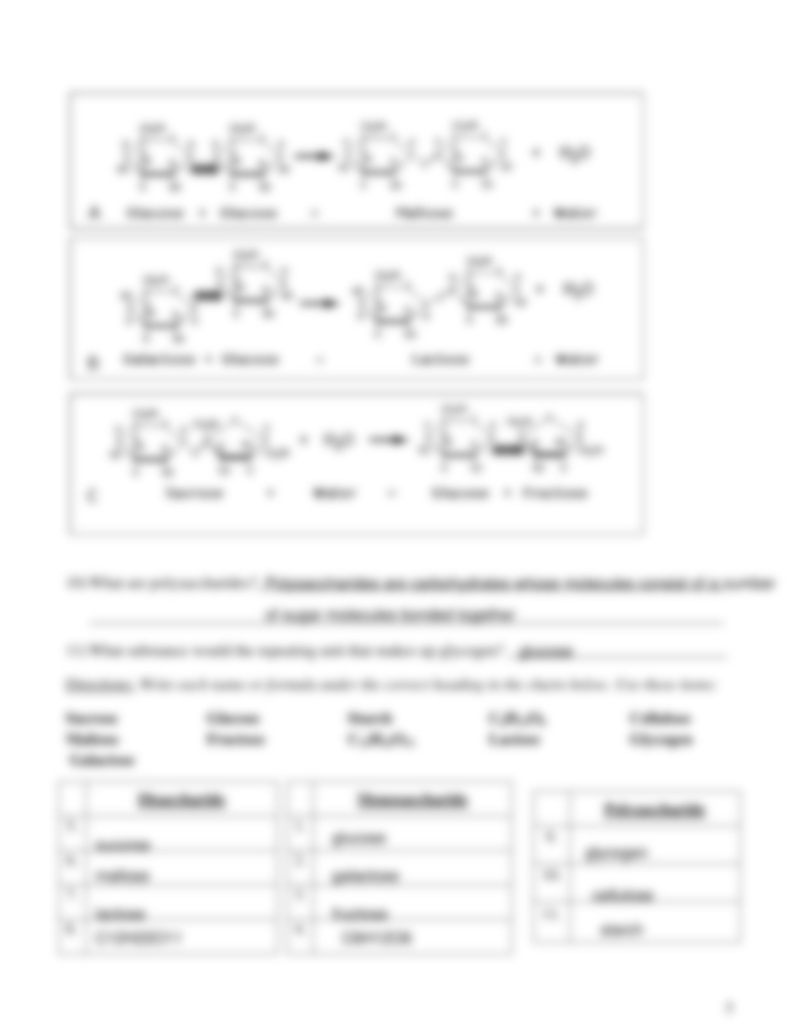 Biomolecules Assignment (1) (2).pdf_da4ze44oglk_page5