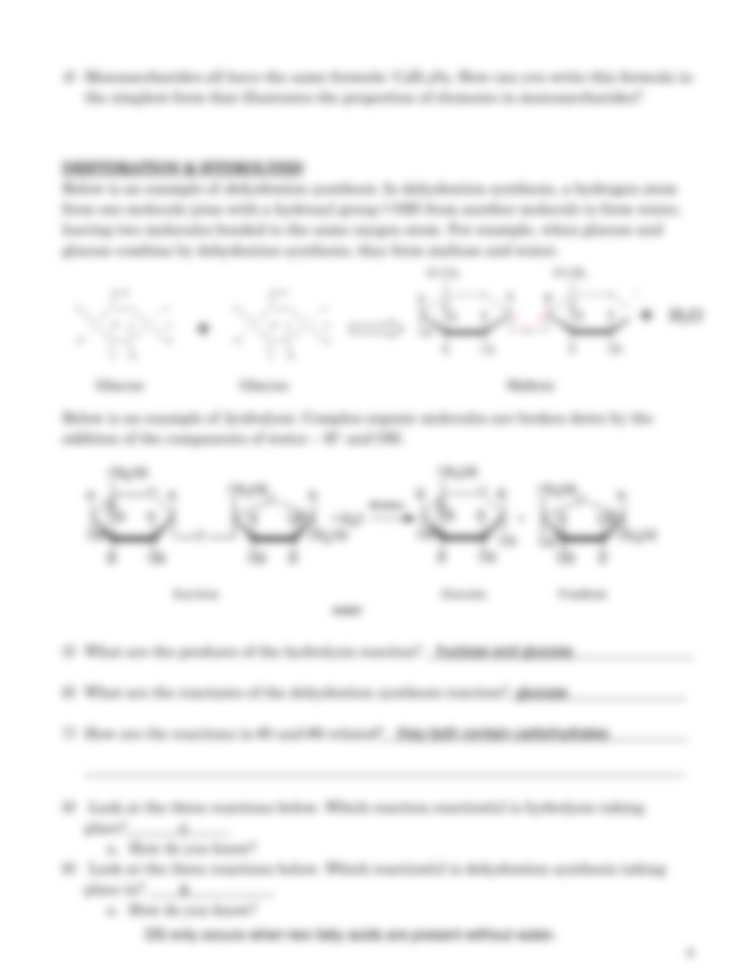 Biomolecules Assignment (1) (2).pdf_da4ze44oglk_page4