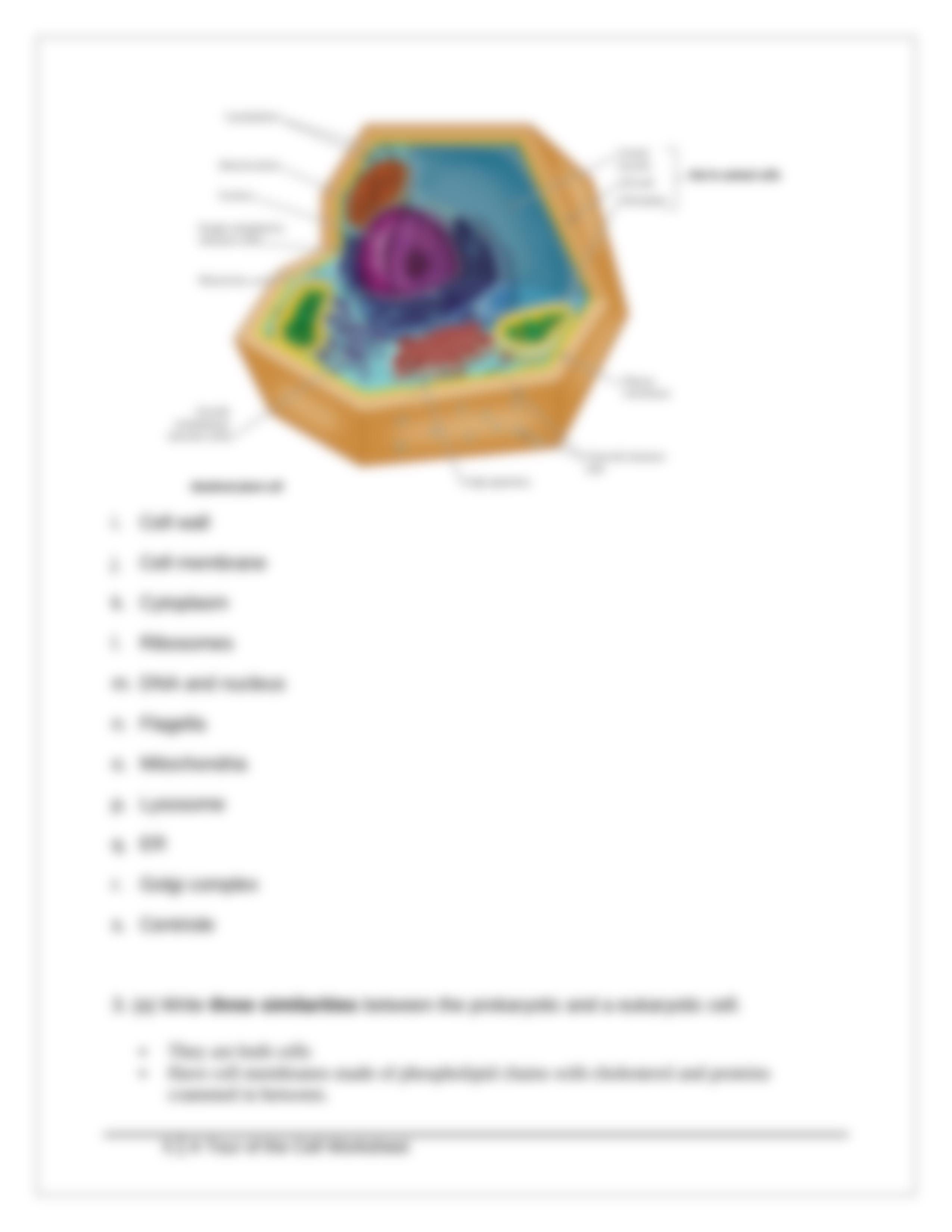 Tour of the Cell Worksheet 2_da6a9amvwho_page5