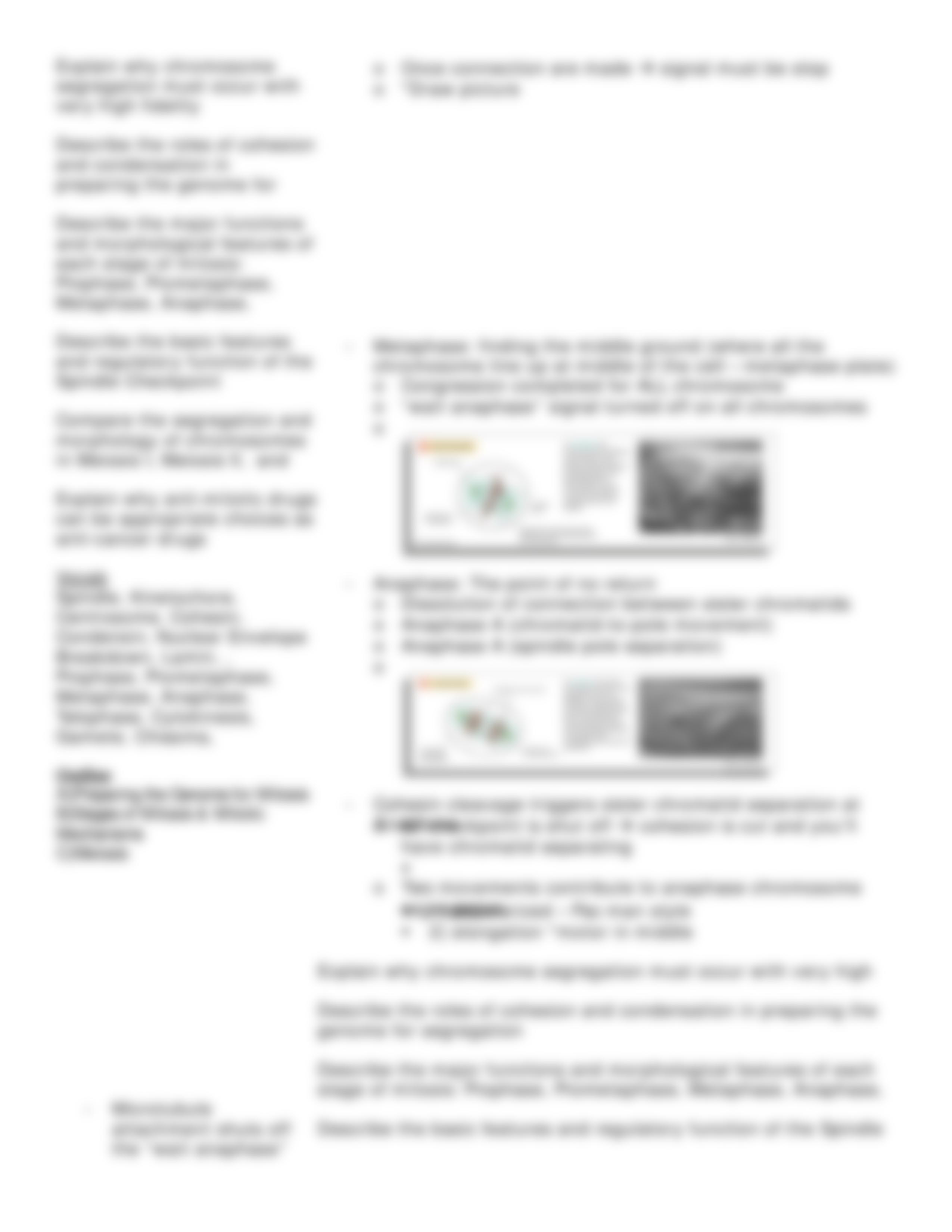 Lecture 27 Cell Division - Mitosis and Meiosis_da8sifhvzoo_page5