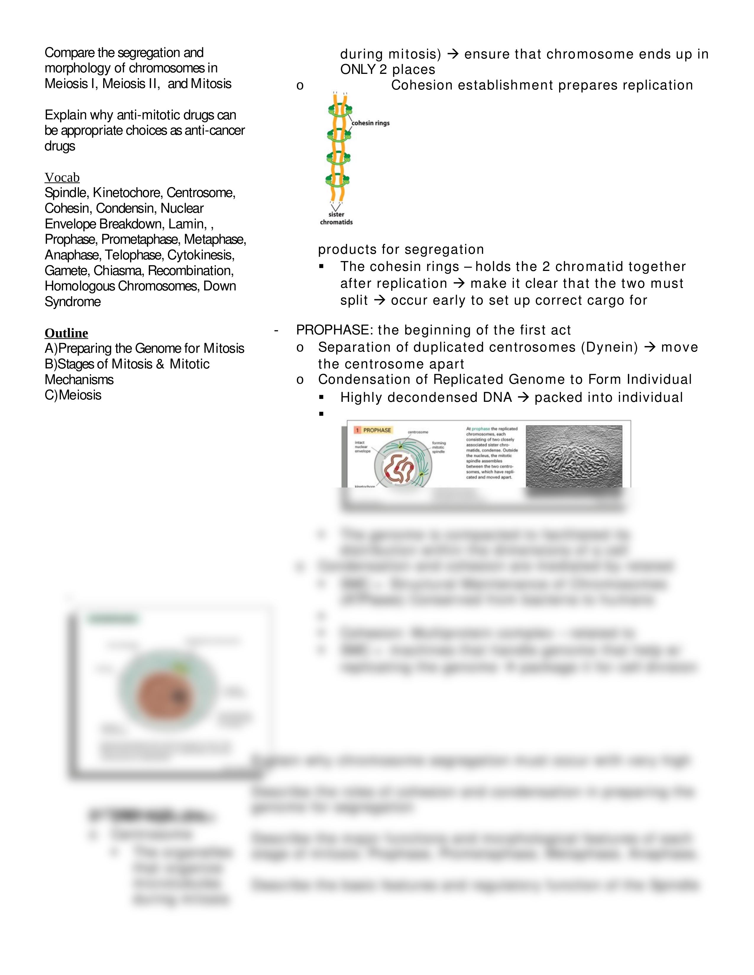 Lecture 27 Cell Division - Mitosis and Meiosis_da8sifhvzoo_page2