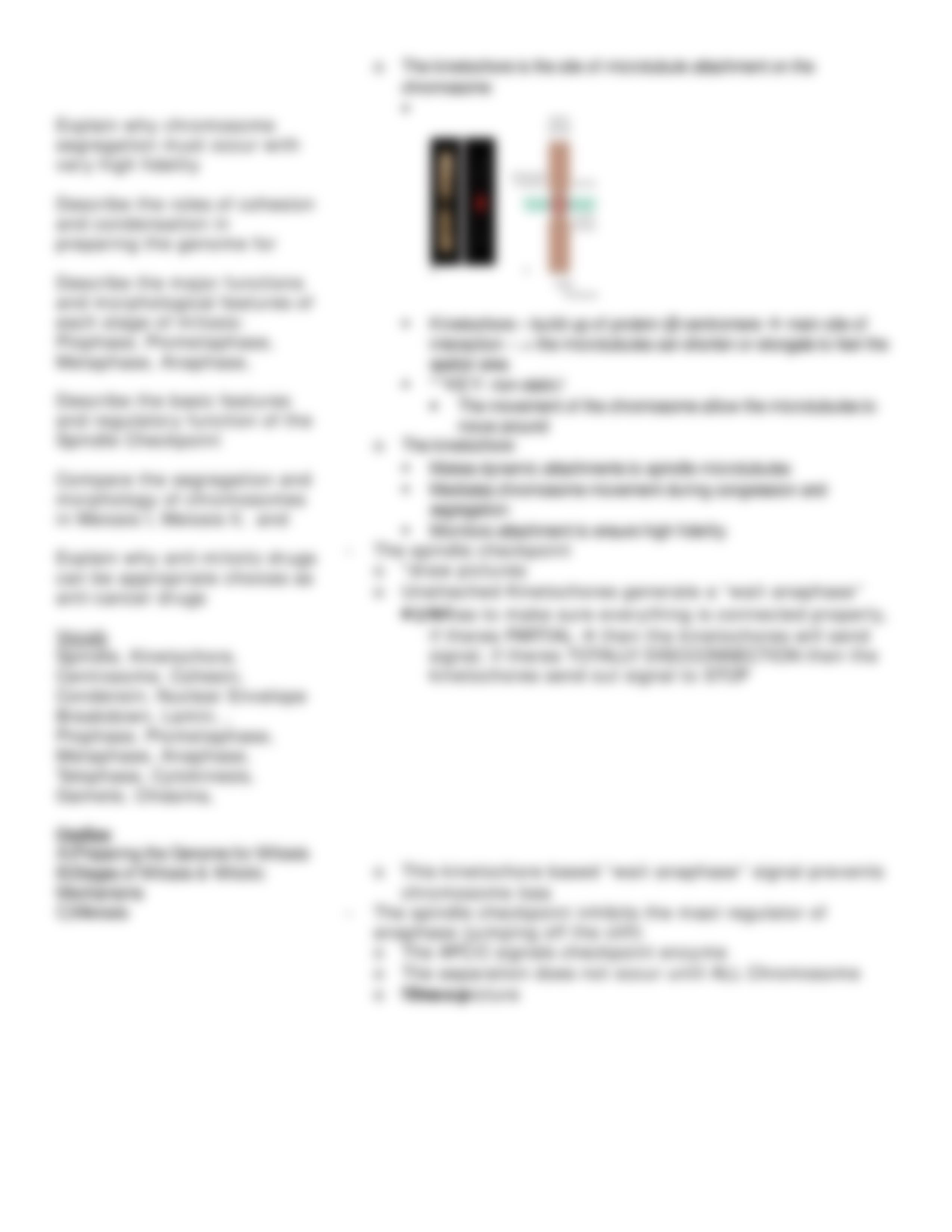 Lecture 27 Cell Division - Mitosis and Meiosis_da8sifhvzoo_page4