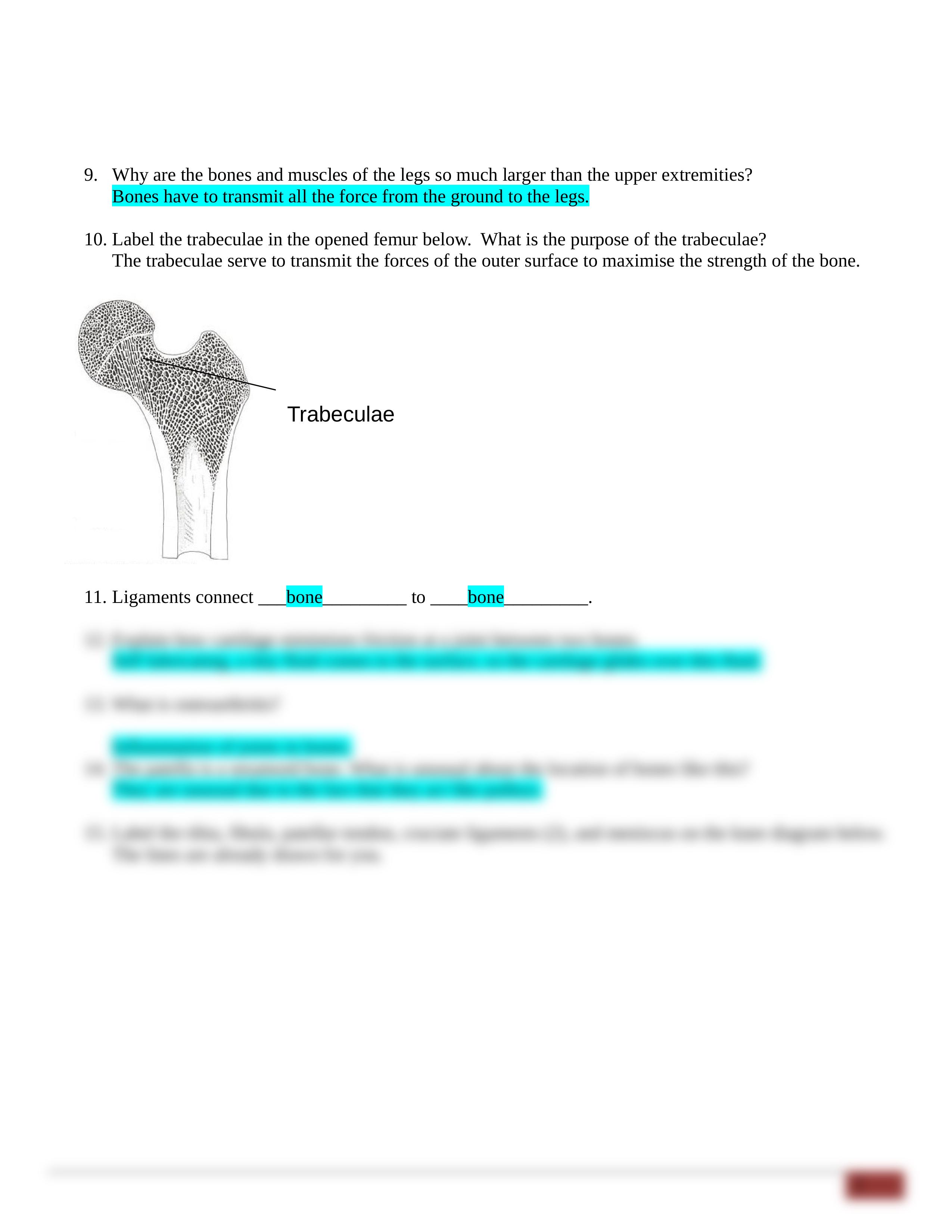 - Anatomy for Beginners - Movement.docx_daf52hfoj66_page2