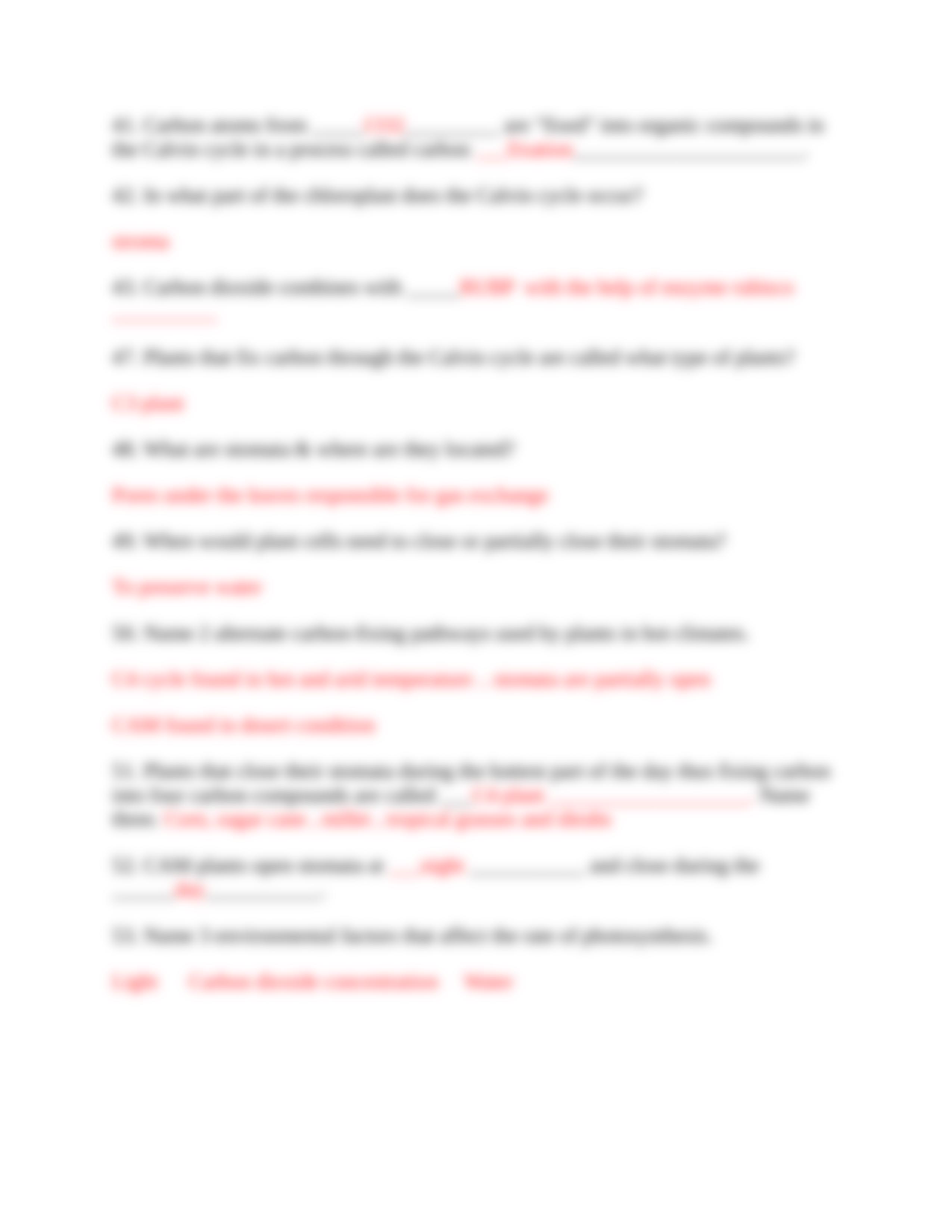 Photosynthesis worksheet Answer key.docx_dag40jhxb7u_page5