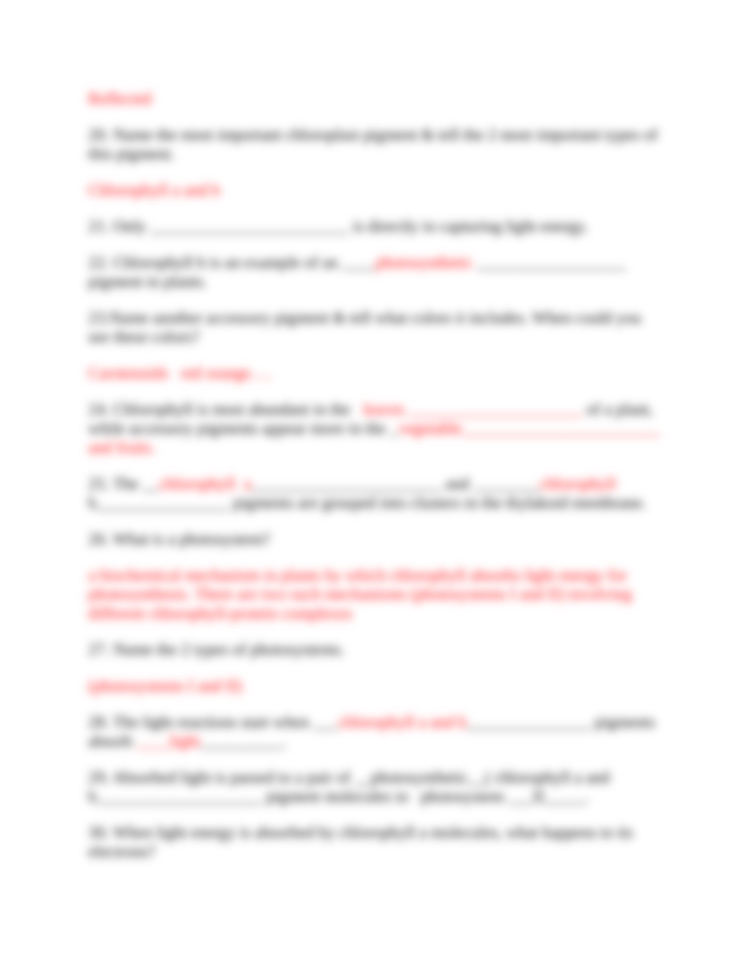 Photosynthesis worksheet Answer key.docx_dag40jhxb7u_page3