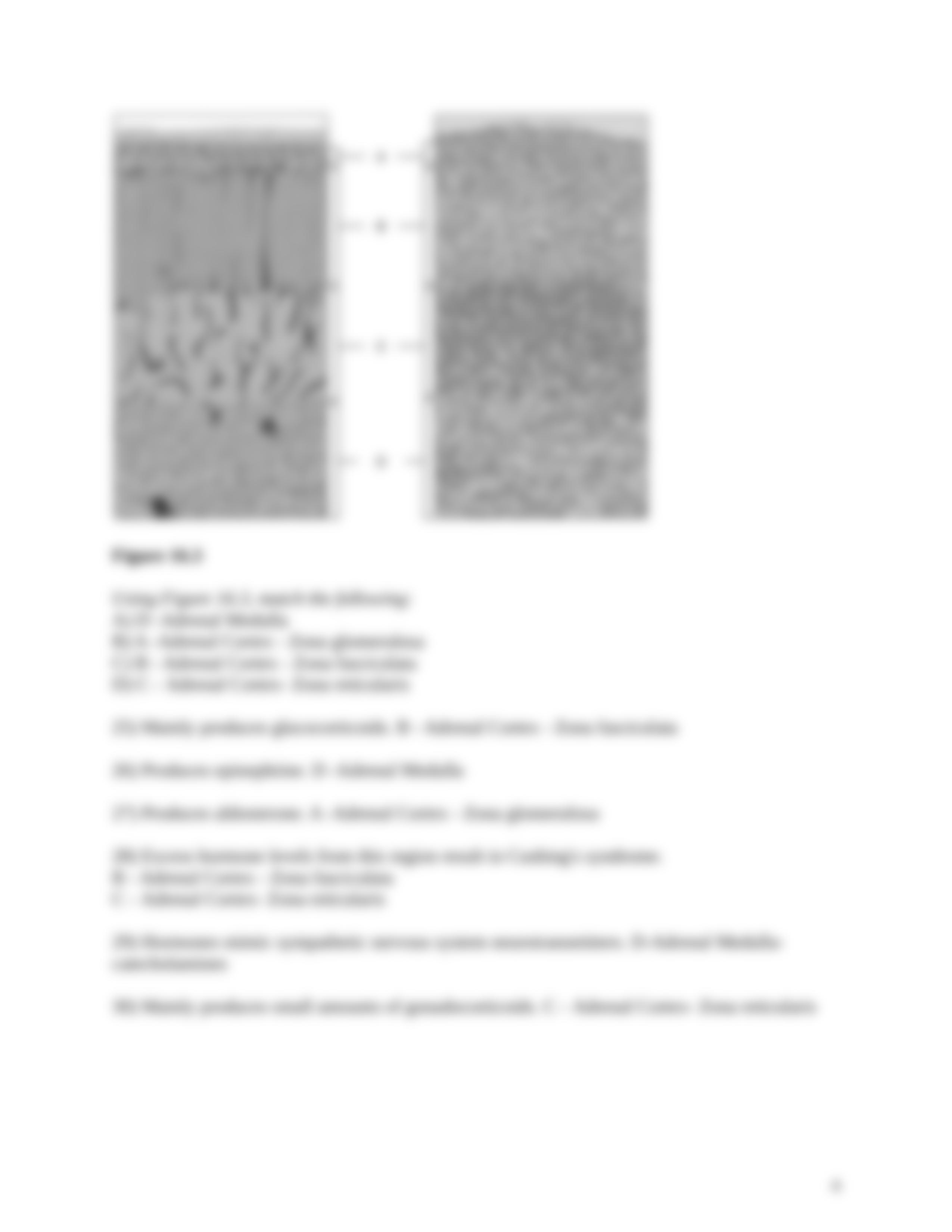 ch_16_worksheet answers.docx_dagmq1oyjk2_page4