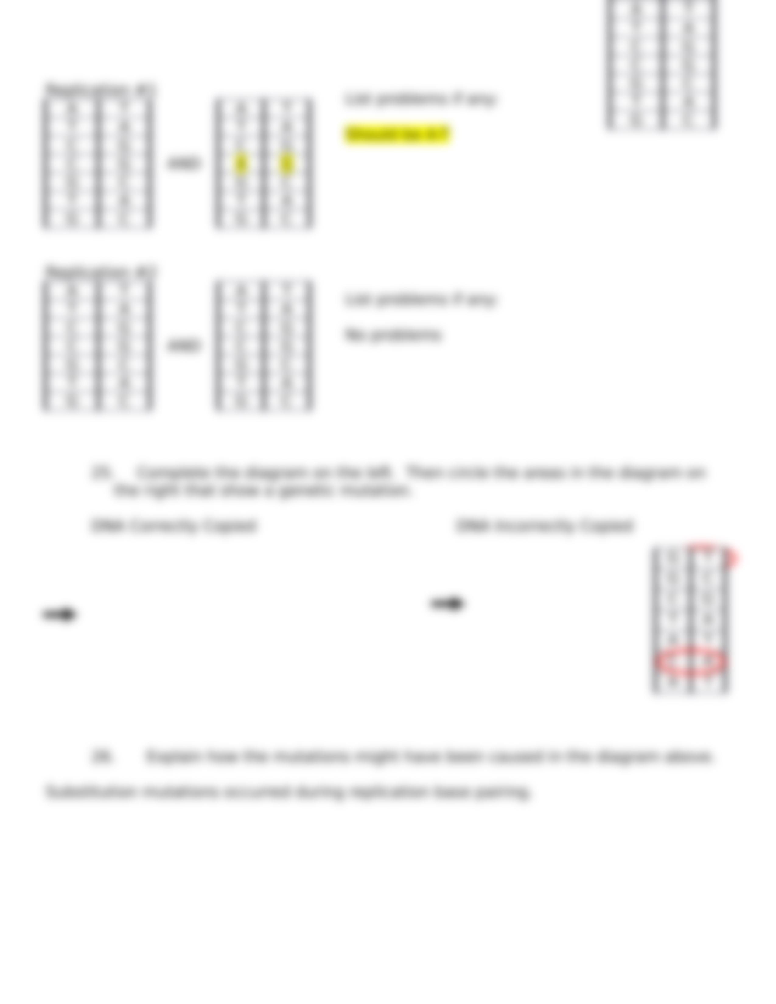 DNA Strucuture and Replication_dajuv09afwo_page4