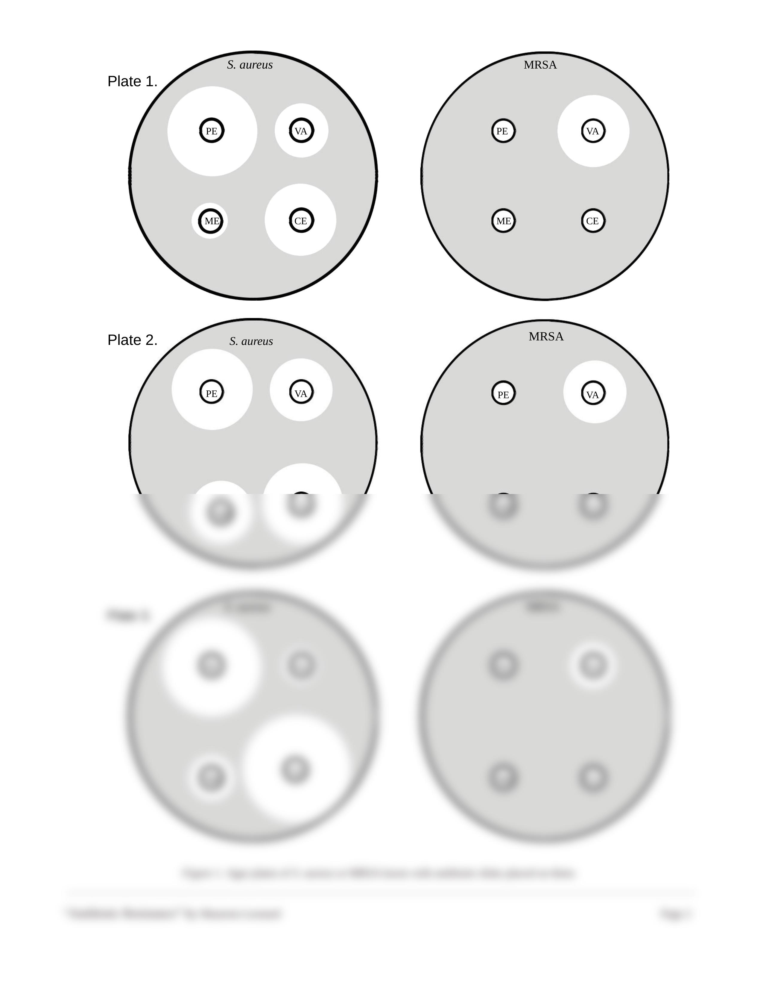 antibiotics homework.doc_dal0i0ix2uy_page2