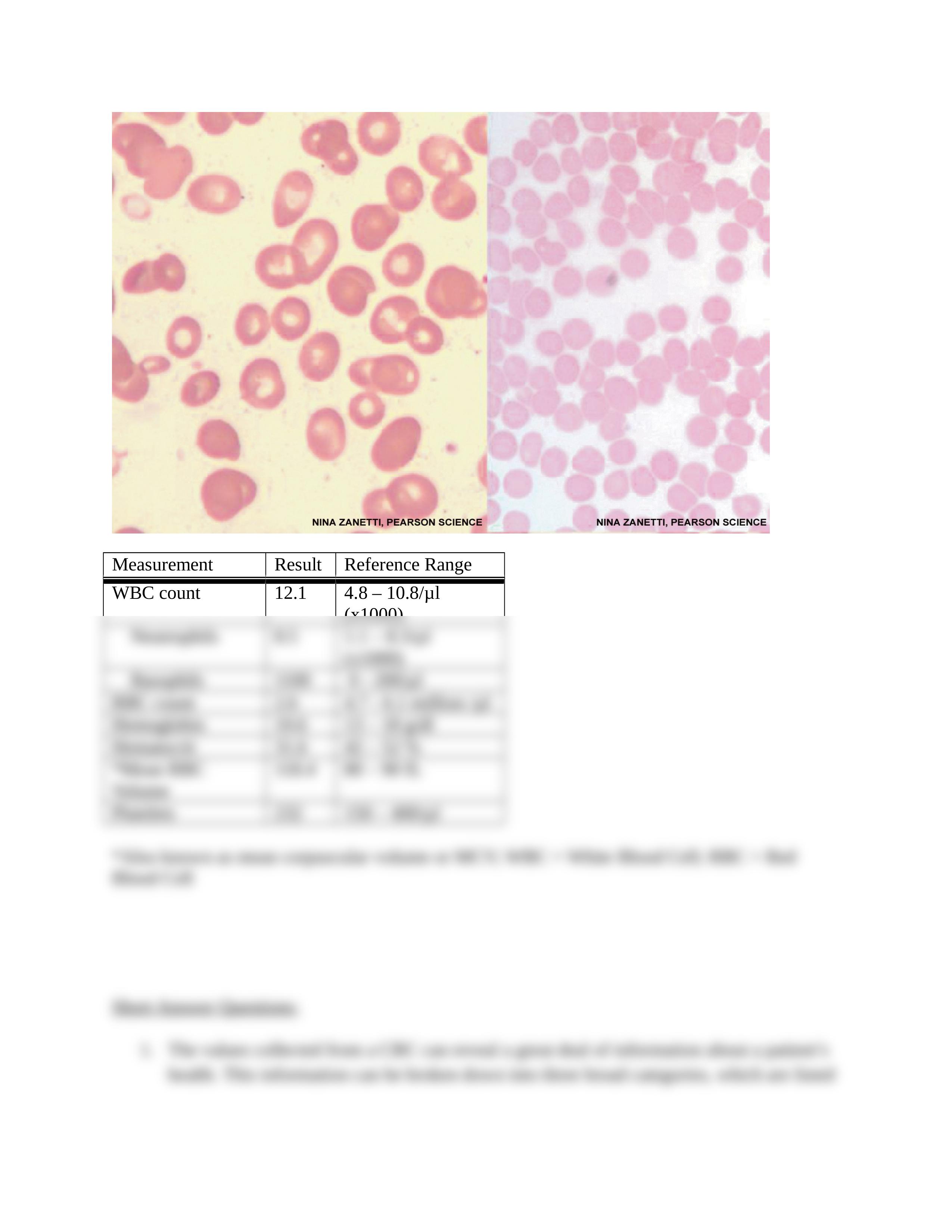 Gastritis Case Study.doc_danspl15yt1_page2