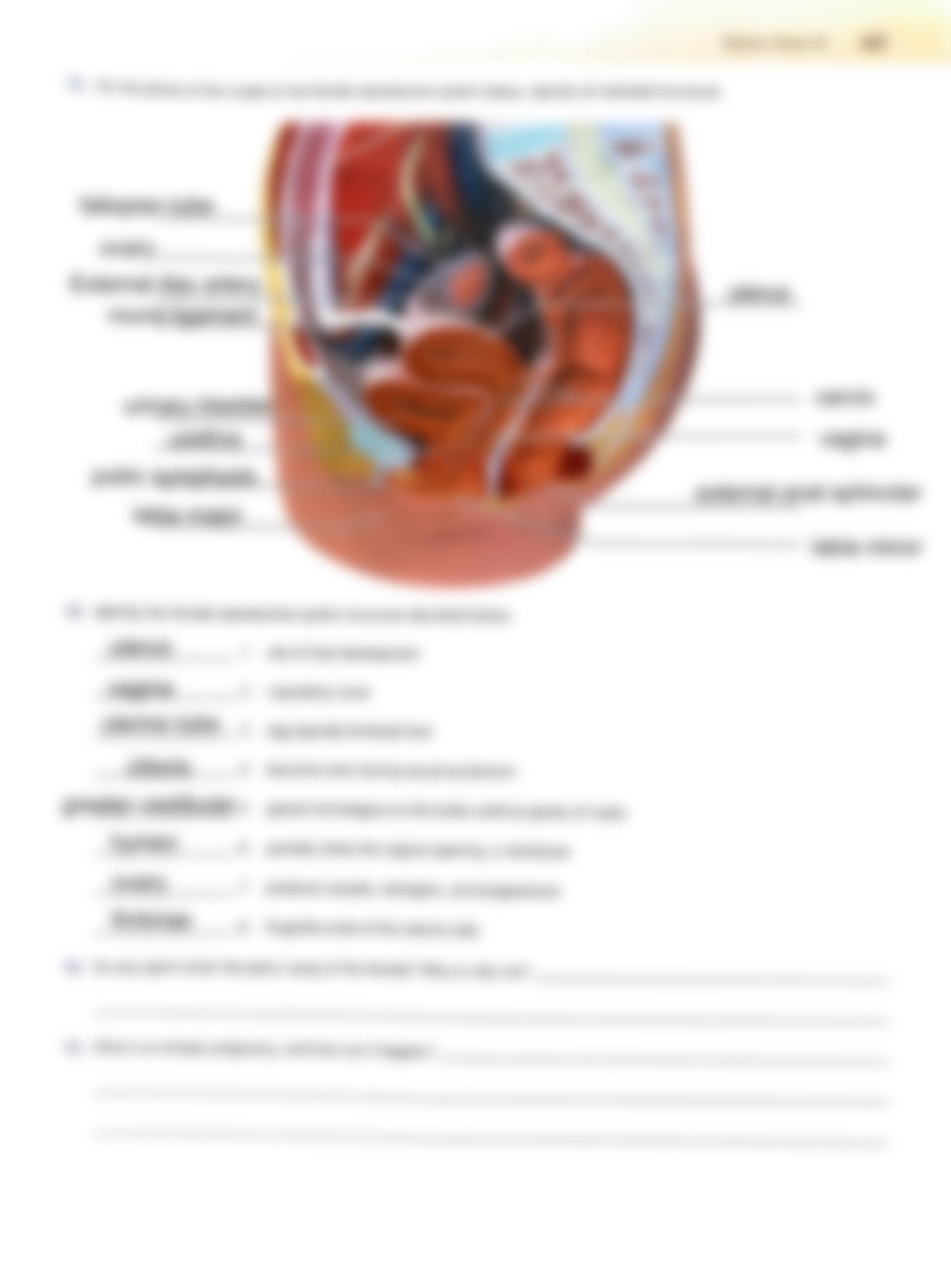 chap 42 lab done.pdf_dara44sul8m_page3