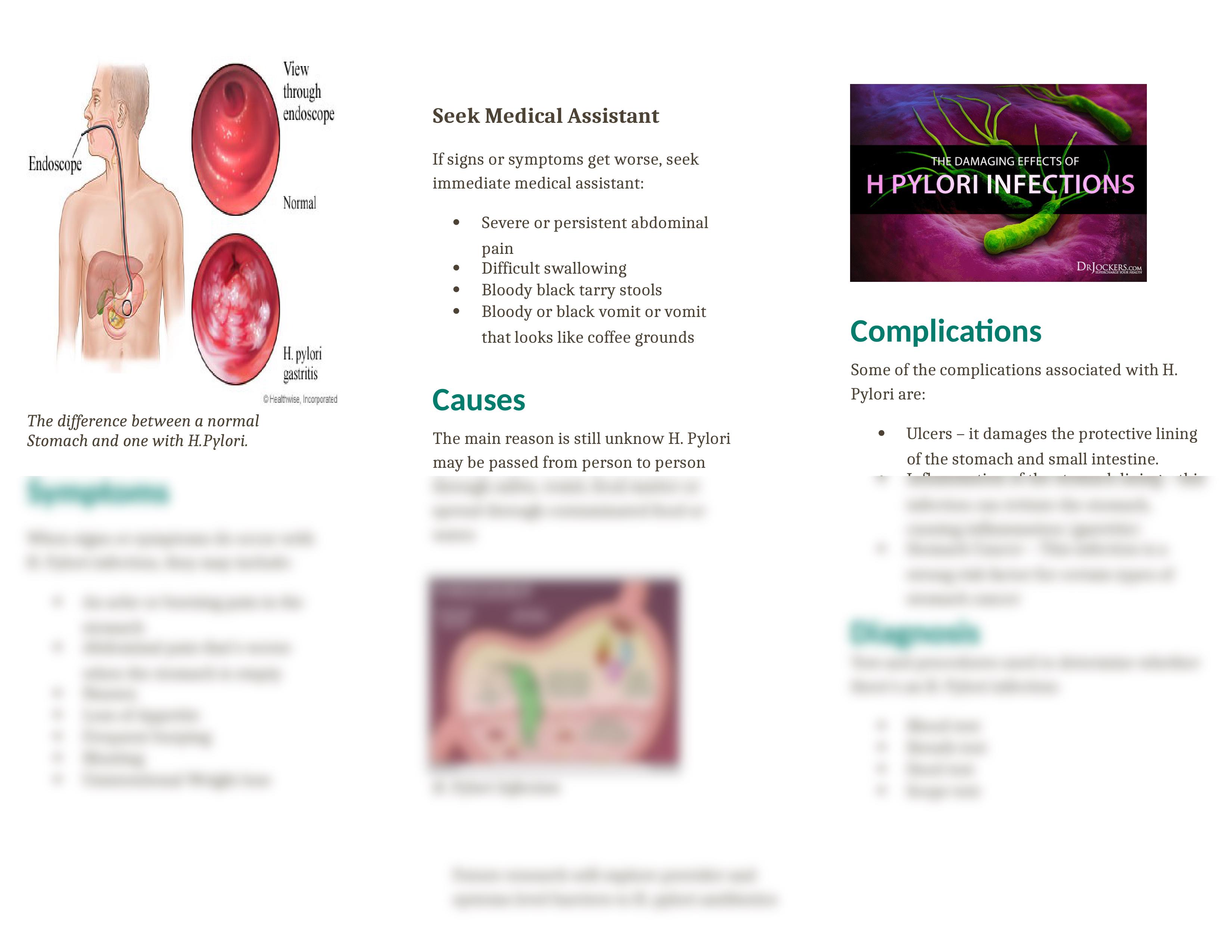 final h pylori brochure.docx_davnq8y5gr8_page2