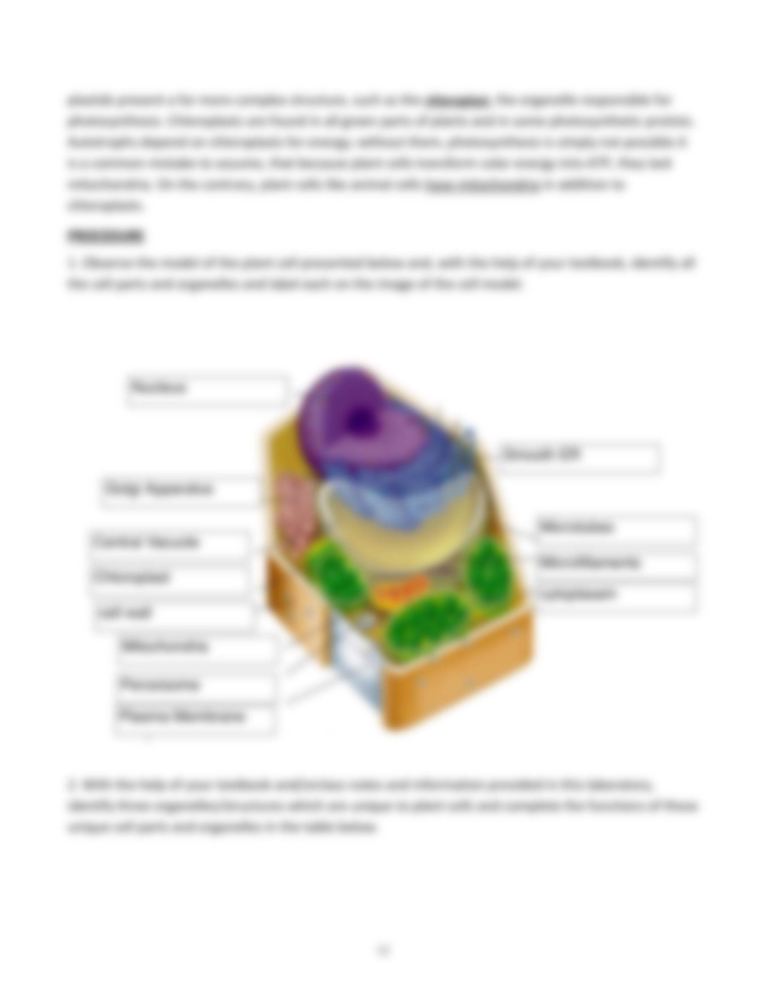 Lab5 Cell structure Nikki Grcic.pdf_davs32wcvcq_page5