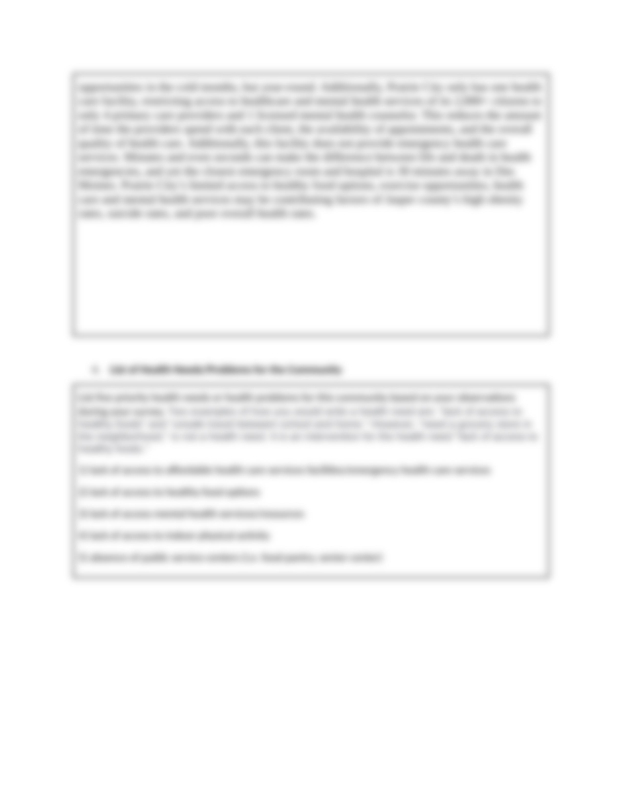 Windshield Survey Worksheet.docx_db7t1tti5sy_page4