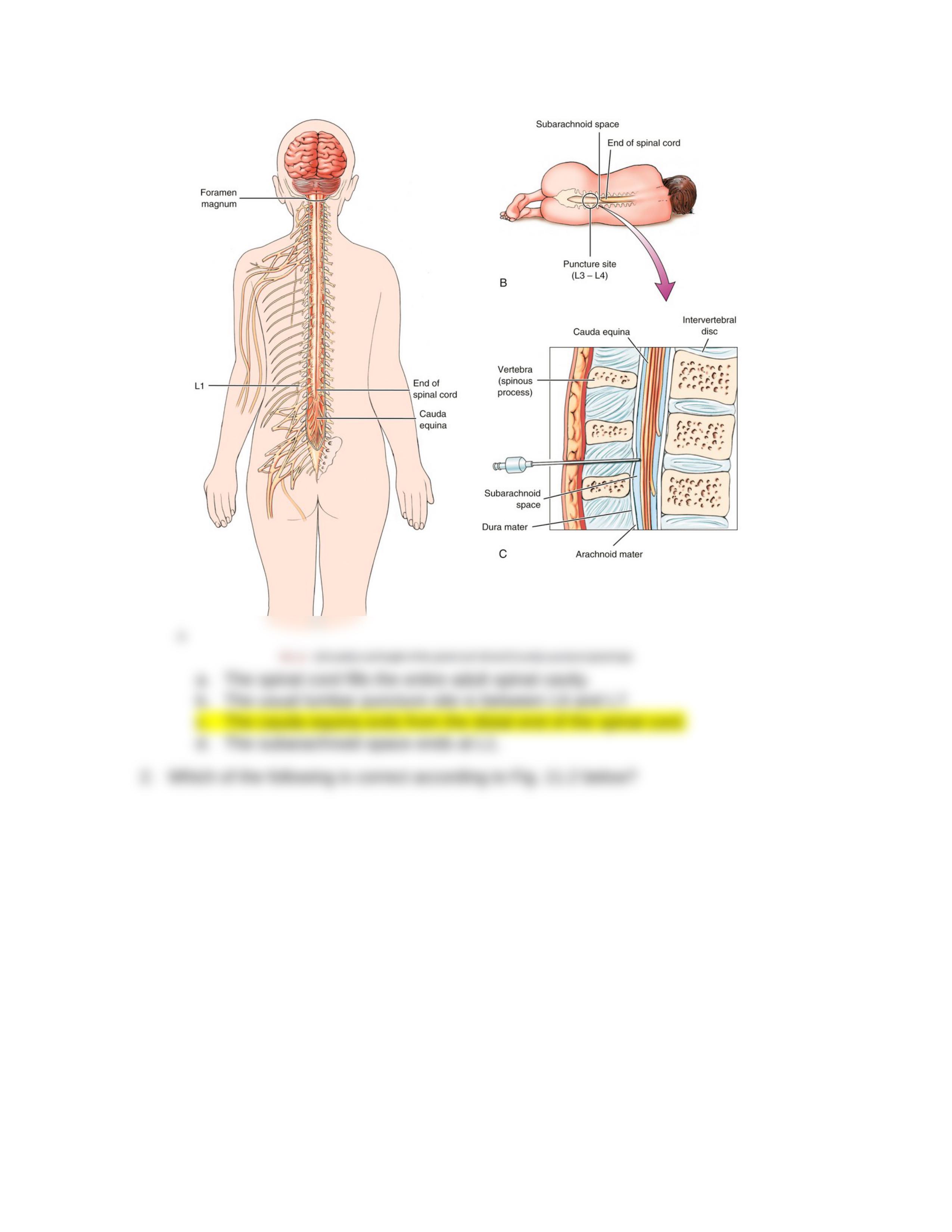 AHP106_Wk3_Assignment (2).docx_dba9ijer5ct_page2