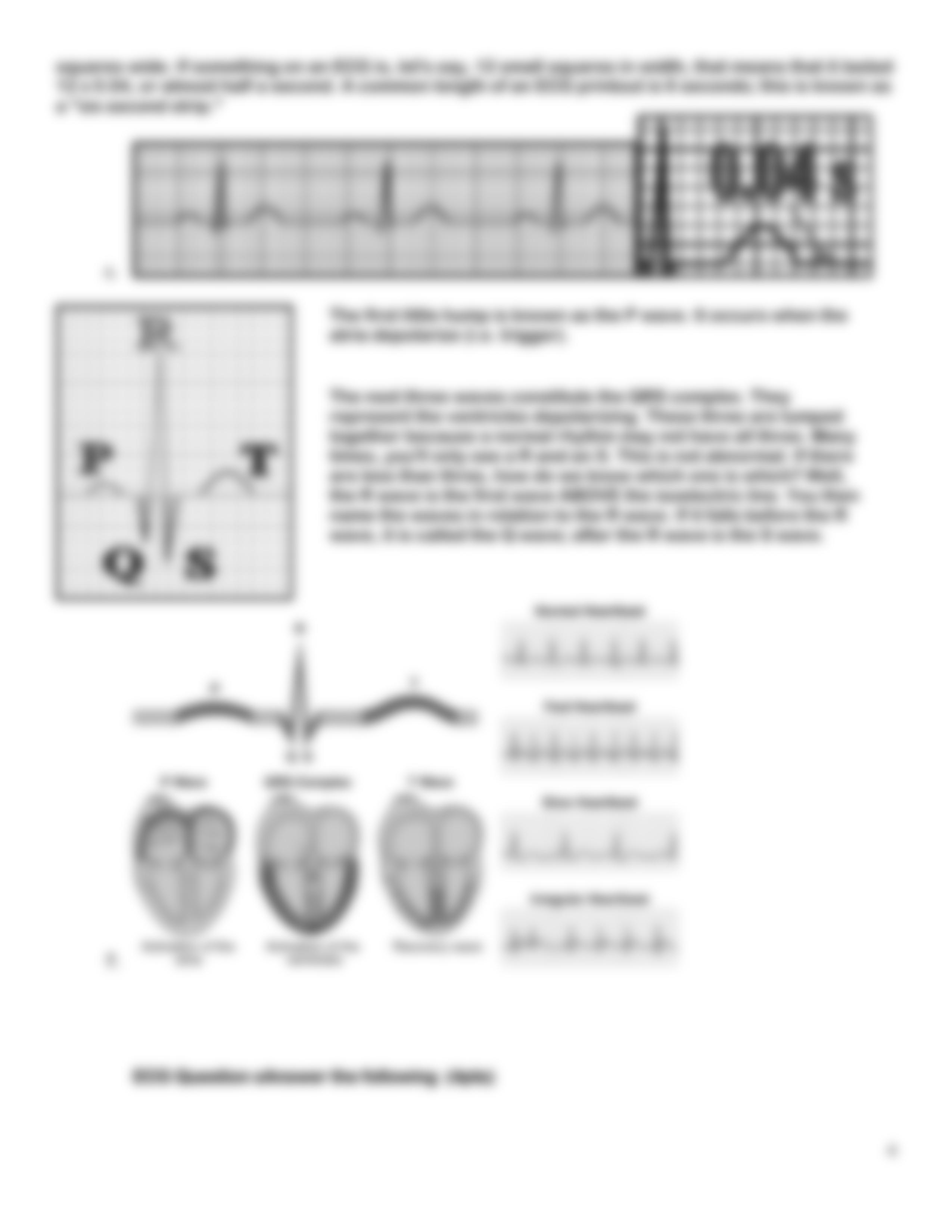 bio12_wk6_2015_dbgzq2xn5o8_page4