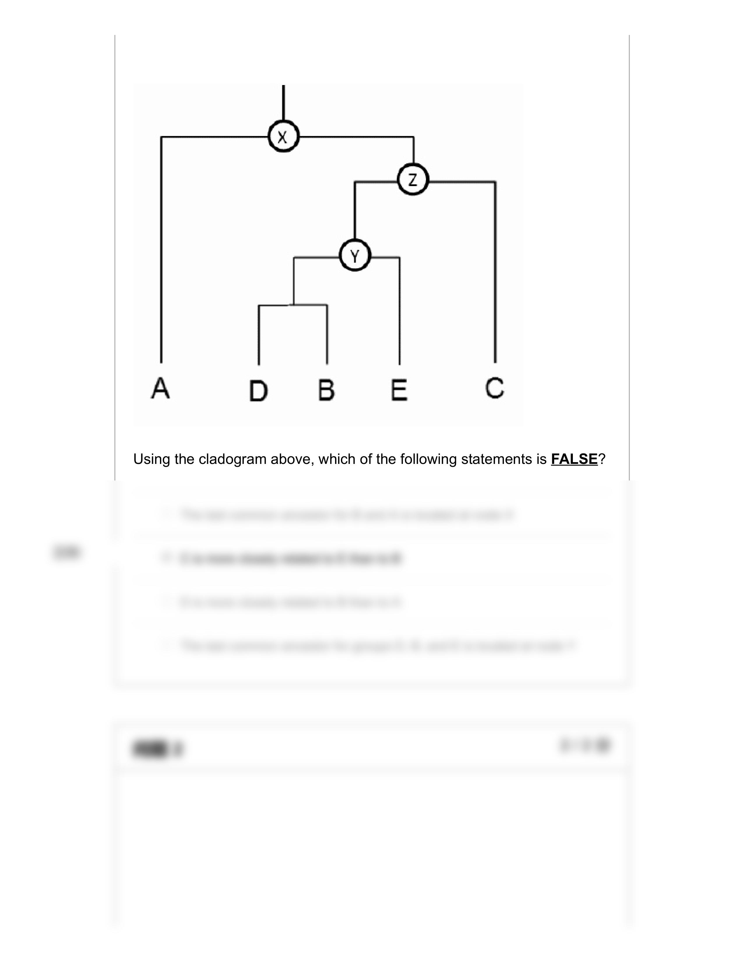 Exam 1_ EVOL OF PEOPLE, TECH, SOCIETY (ANTH_330_001_U2020) correction.pdf_dbjdc0nlkwn_page2