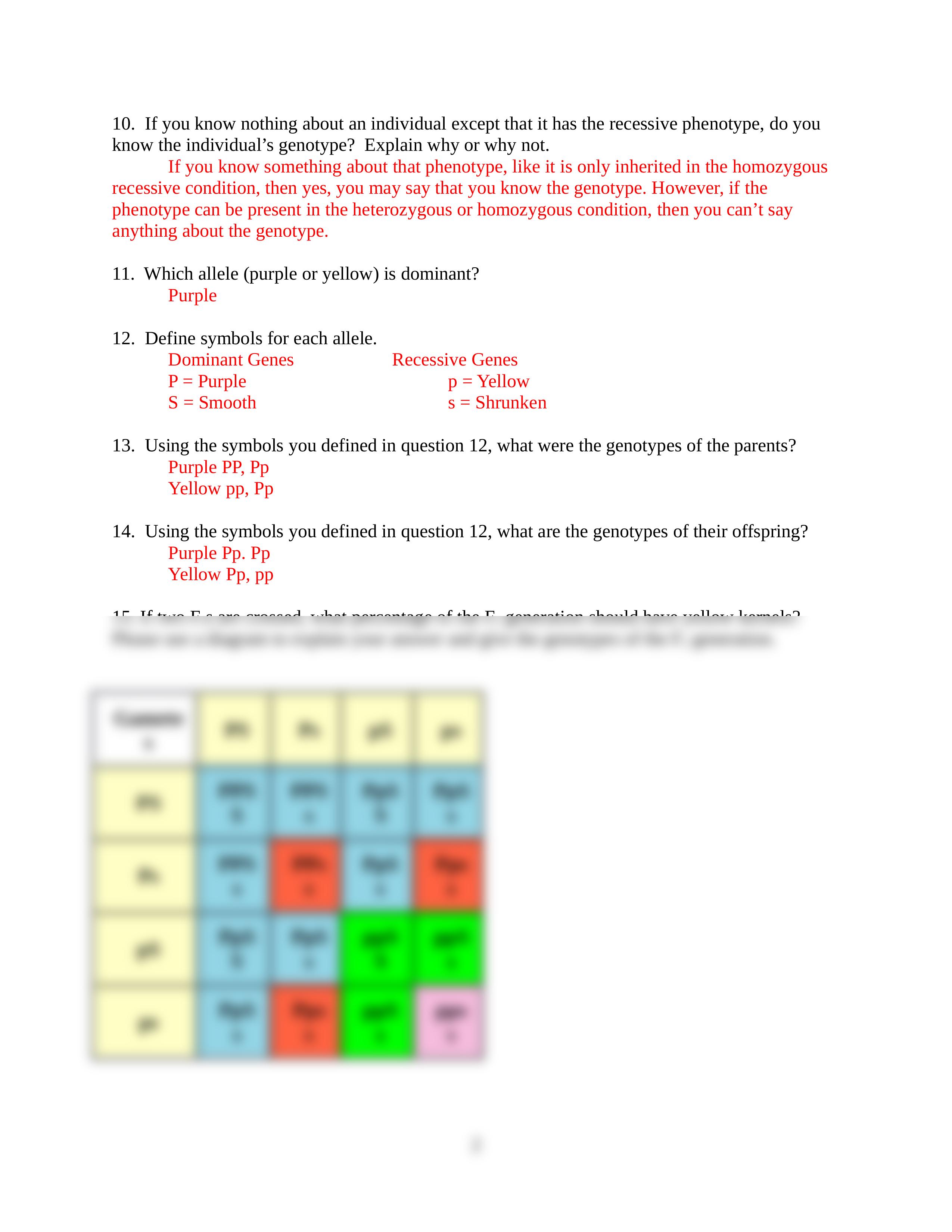 Corn Genetics Lab Report SZ.docx_dbk934cdywq_page2