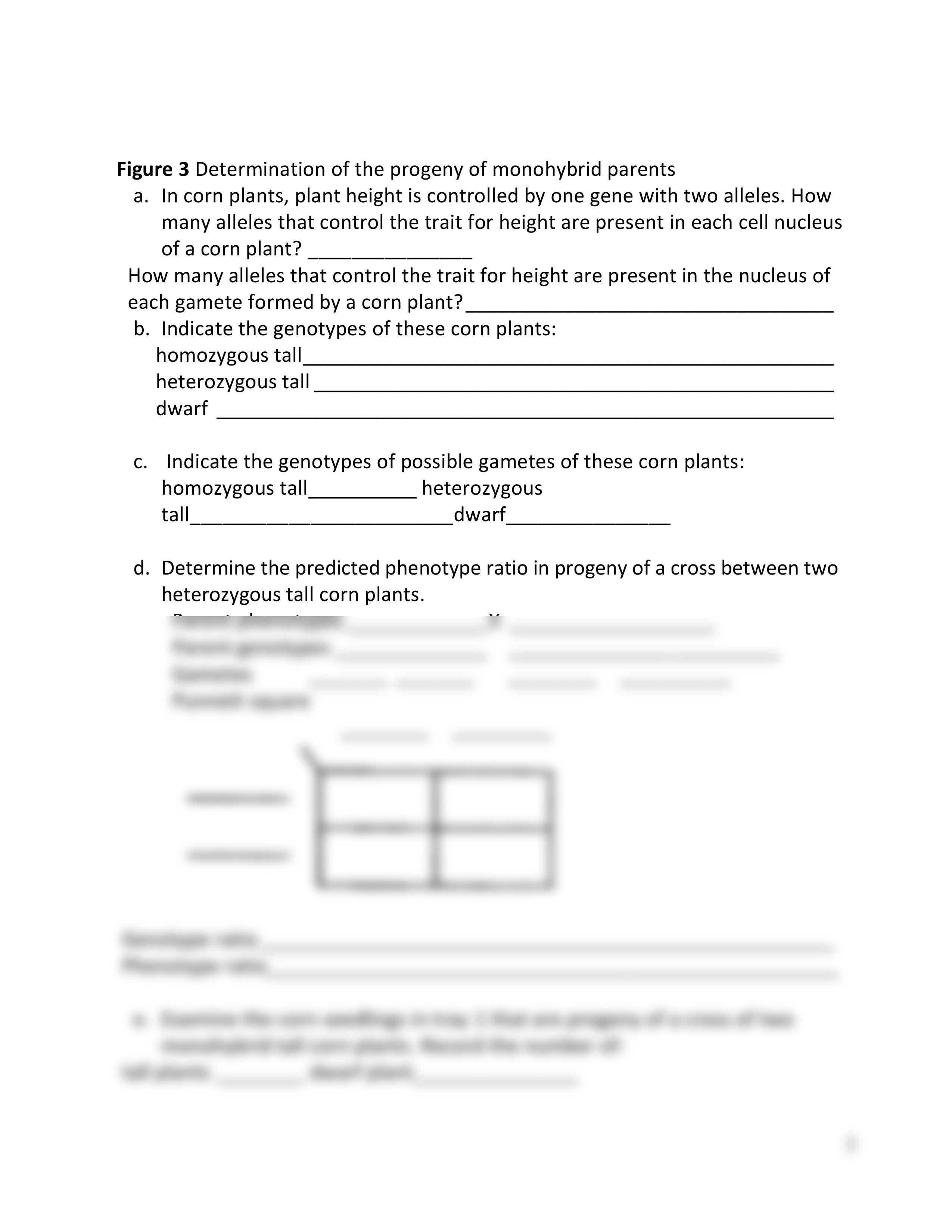 Exercise_8-Report BIOL 1111.pdf_dbkzpl5jl9f_page2