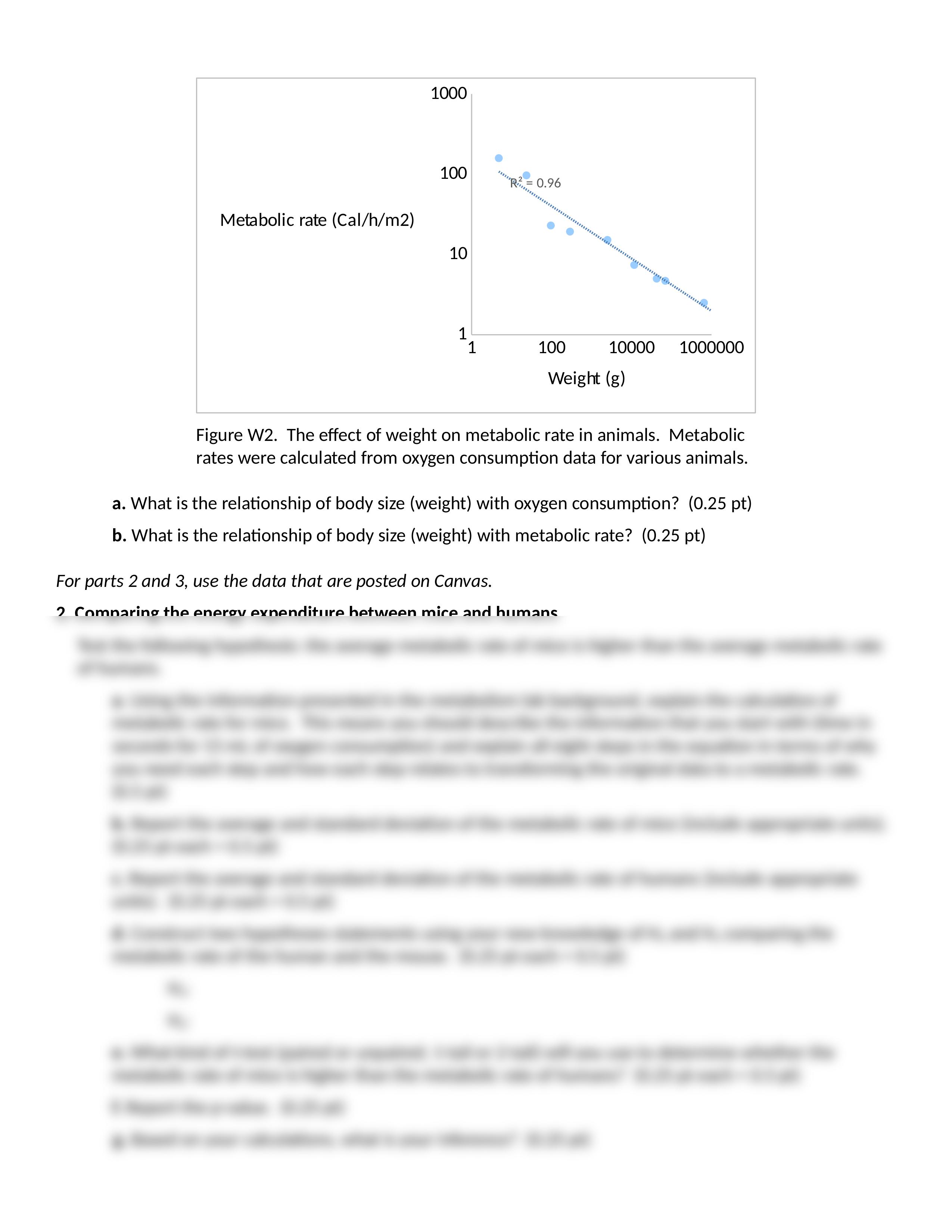 Lab 5 Metabolism worksheet_dbpk1v4almk_page2