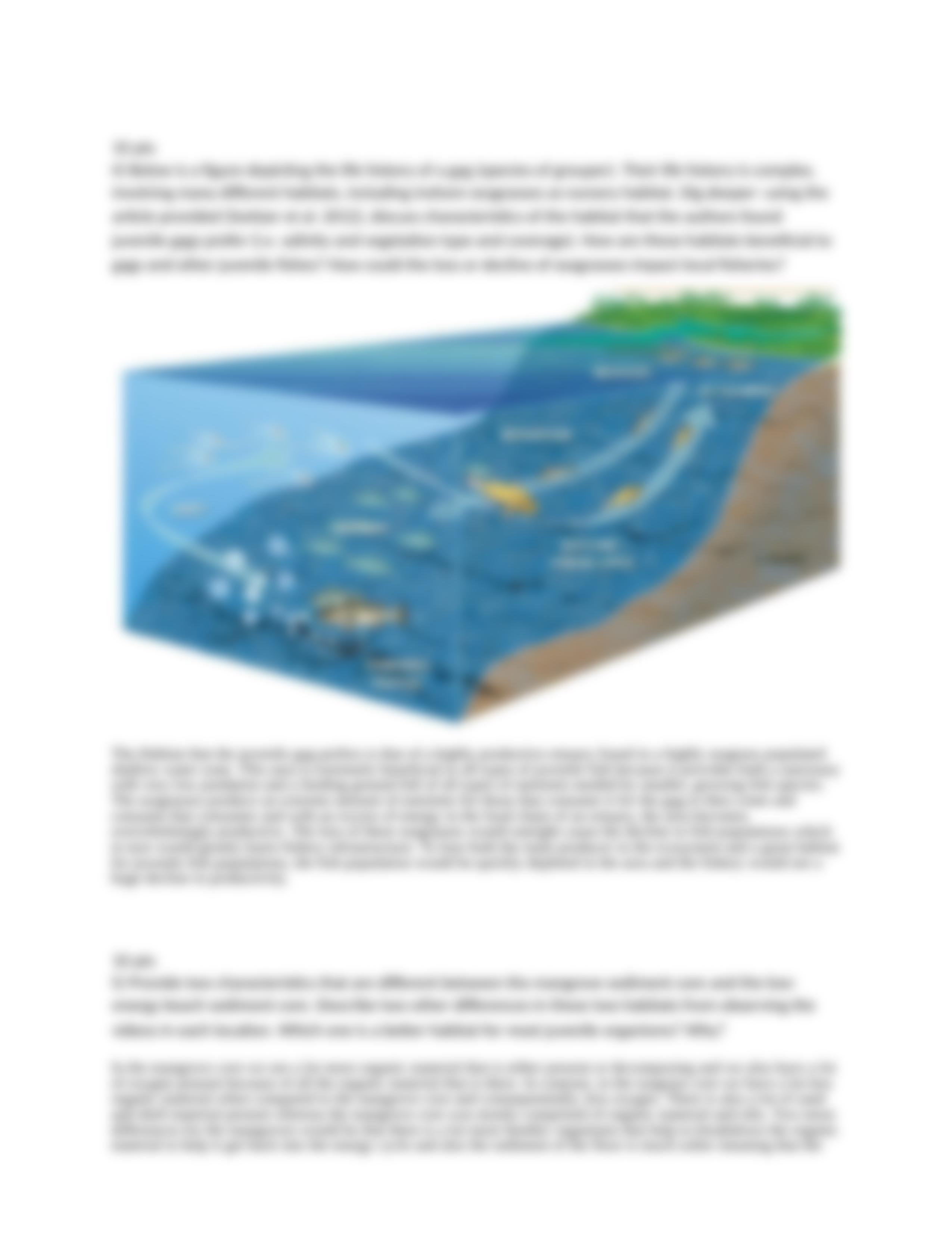 Coastal Ecology Field trip Assignment done.docx_dbpsy8rqtv6_page3