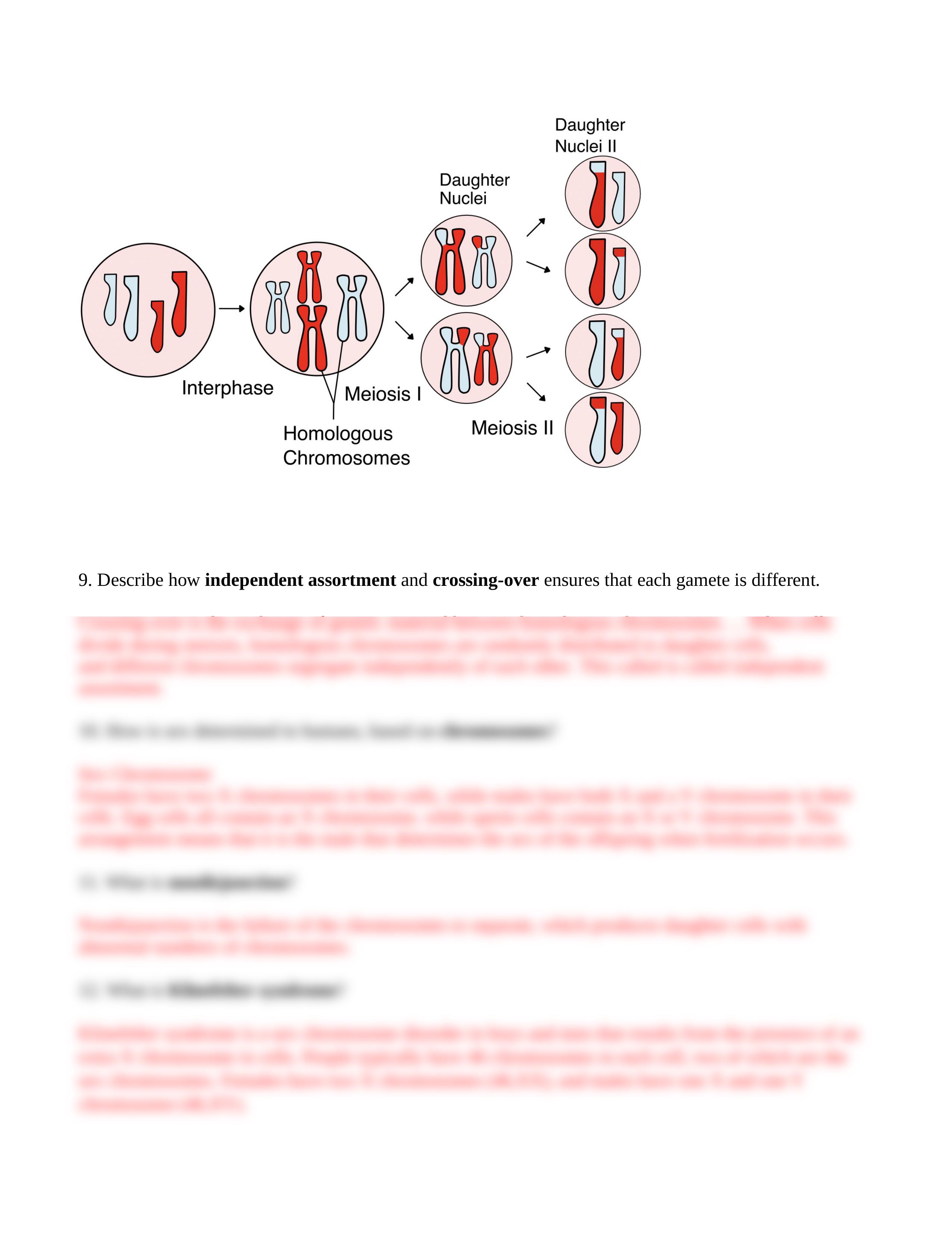 Case Study on Meiosis SRY not SRY.docx_dbr9lonufmq_page2