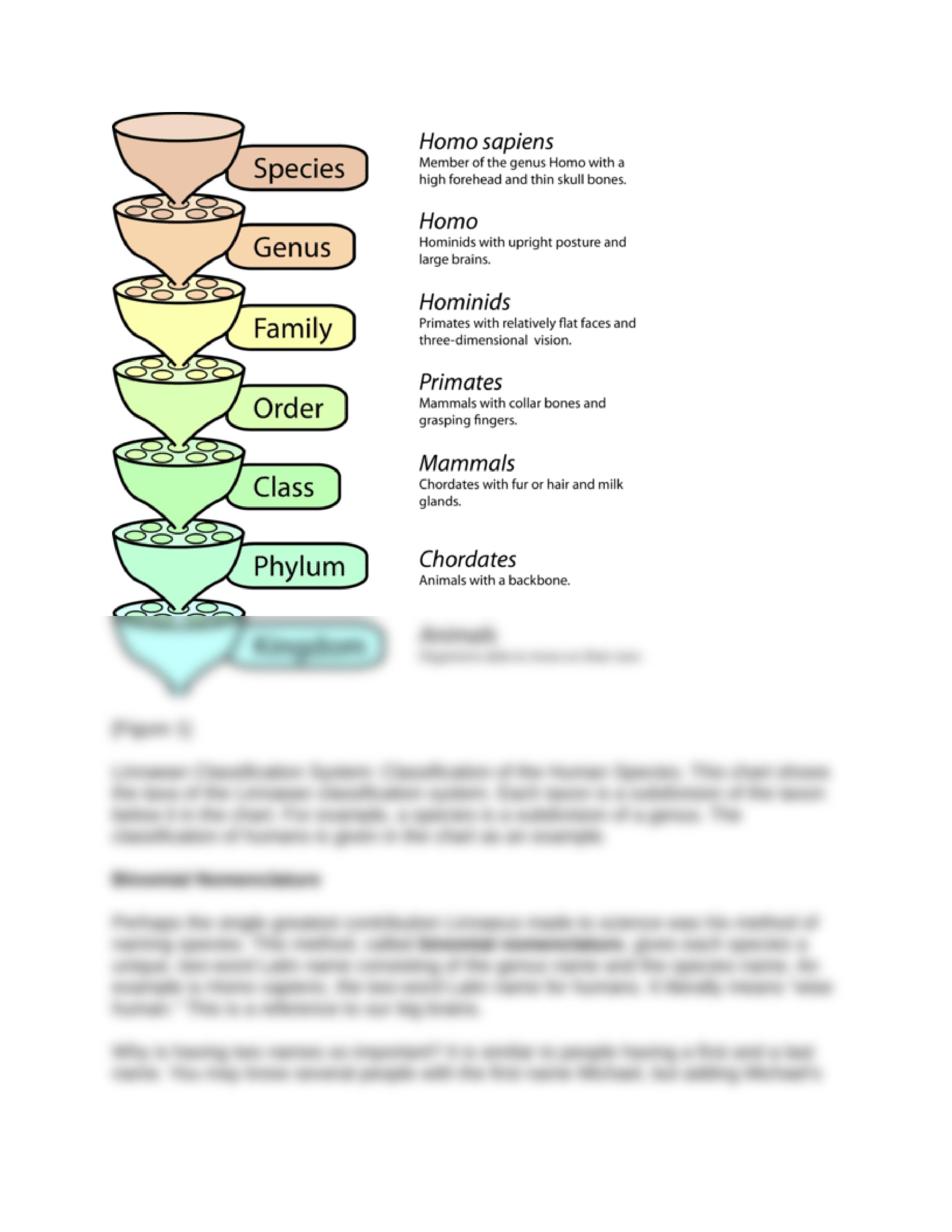 Biology classification week 1a.docx_dbsy3vnwx00_page2