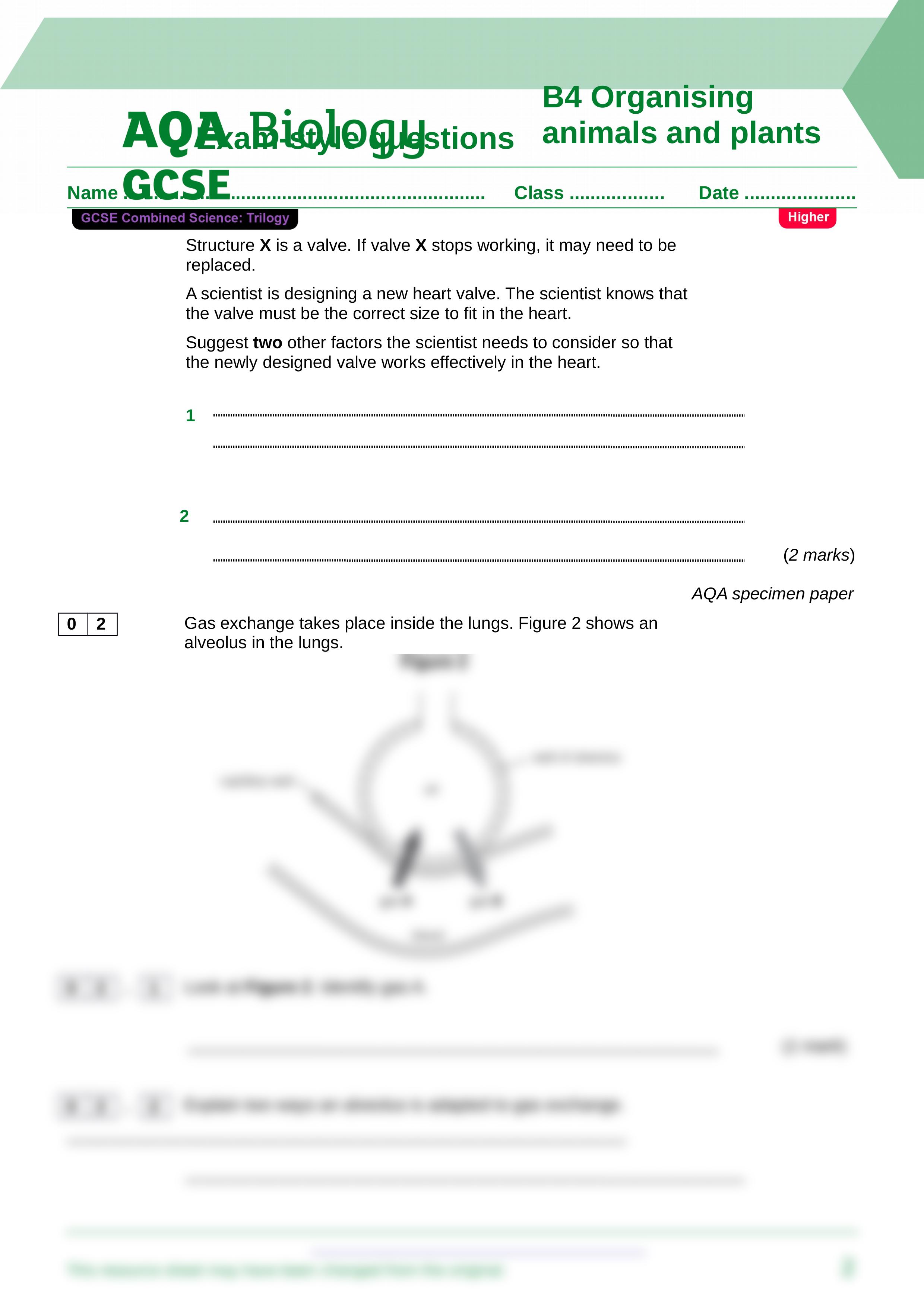 B4_Bioenergetics_H (2).doc_dbx93hu0mok_page2