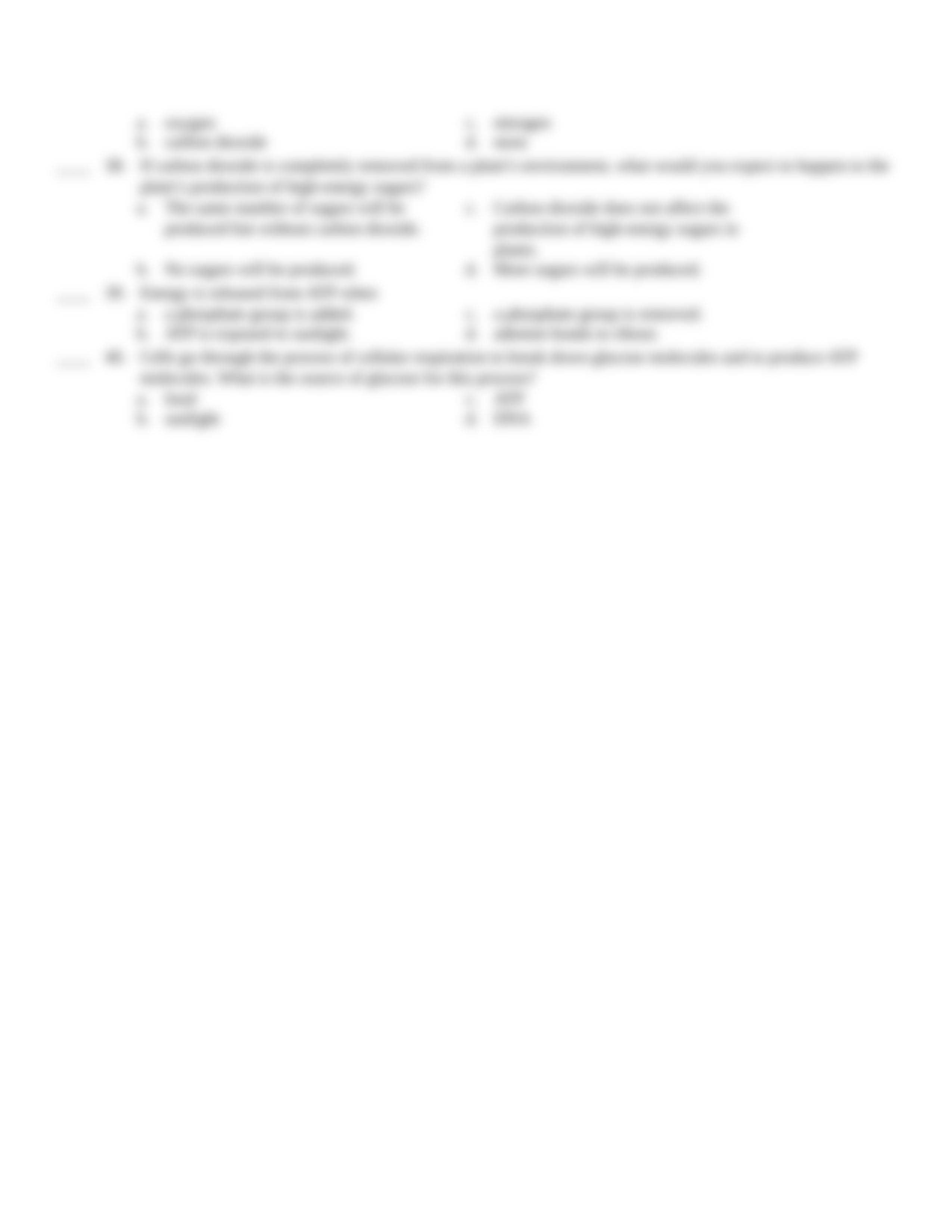 biology 19 cell energy test.rtf_dc42u7rxd70_page5