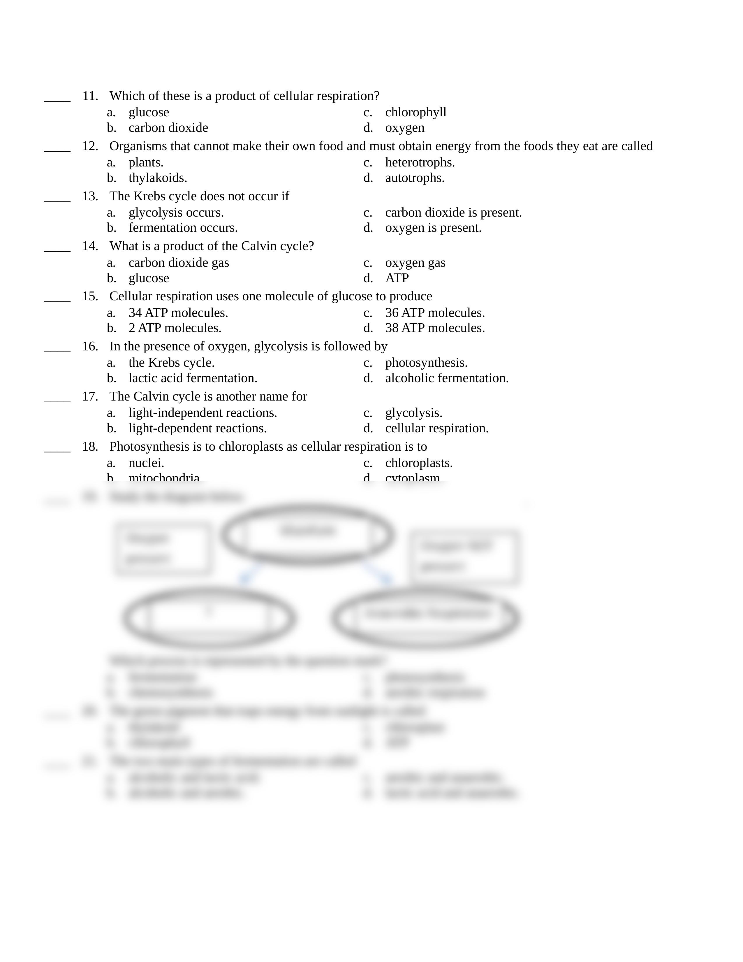 biology 19 cell energy test.rtf_dc42u7rxd70_page2