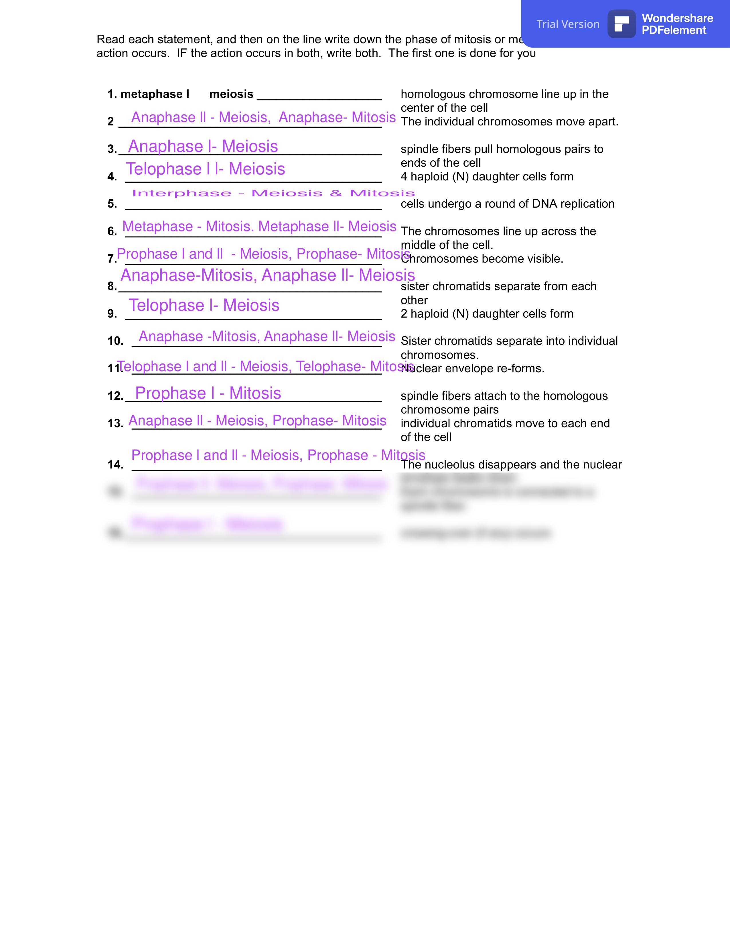 meiosis_worksheets.pdf_dc8ovbvwb8y_page2