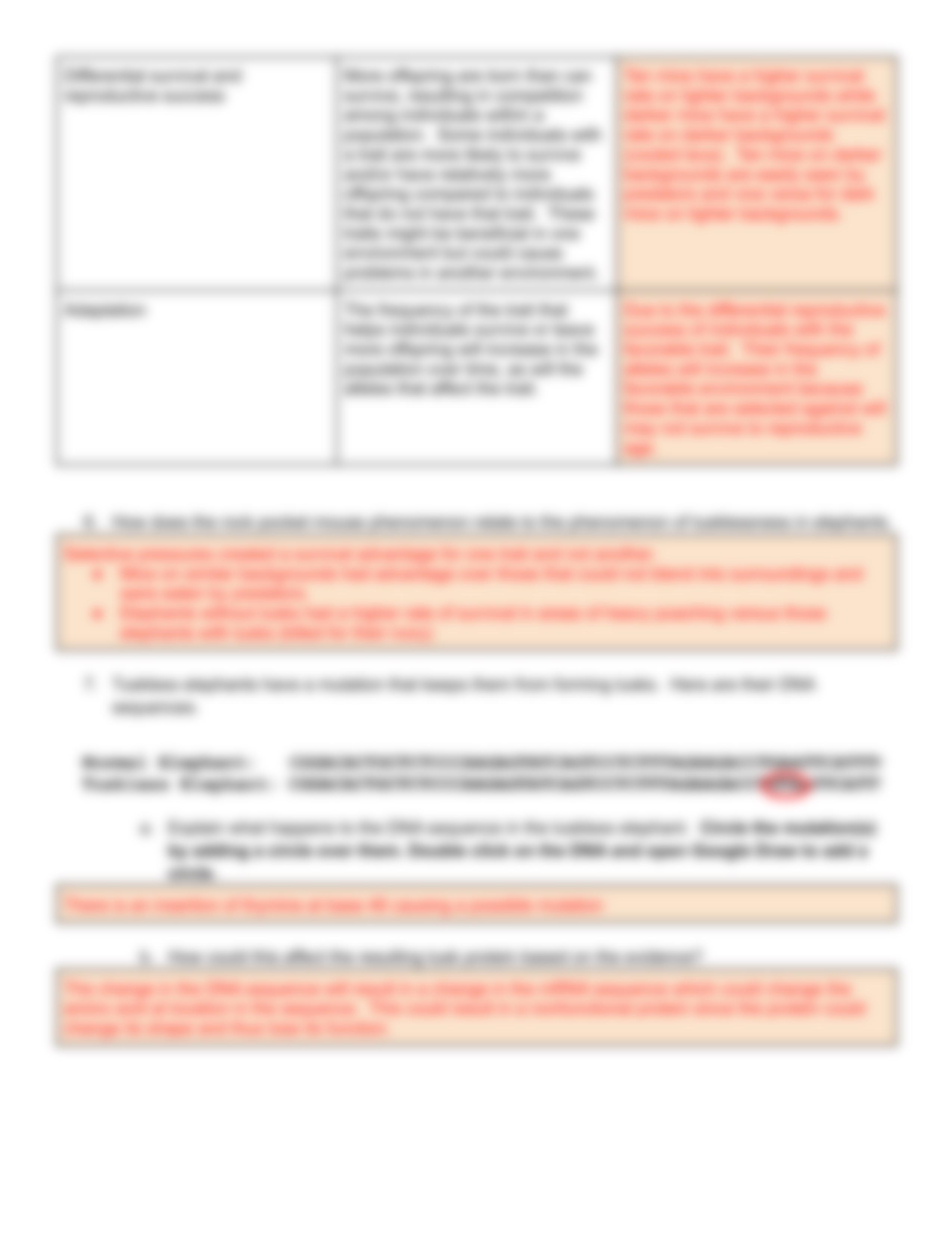 Copy of KEY: Melanin Unit Review.pdf_dcb3iuqto7e_page3