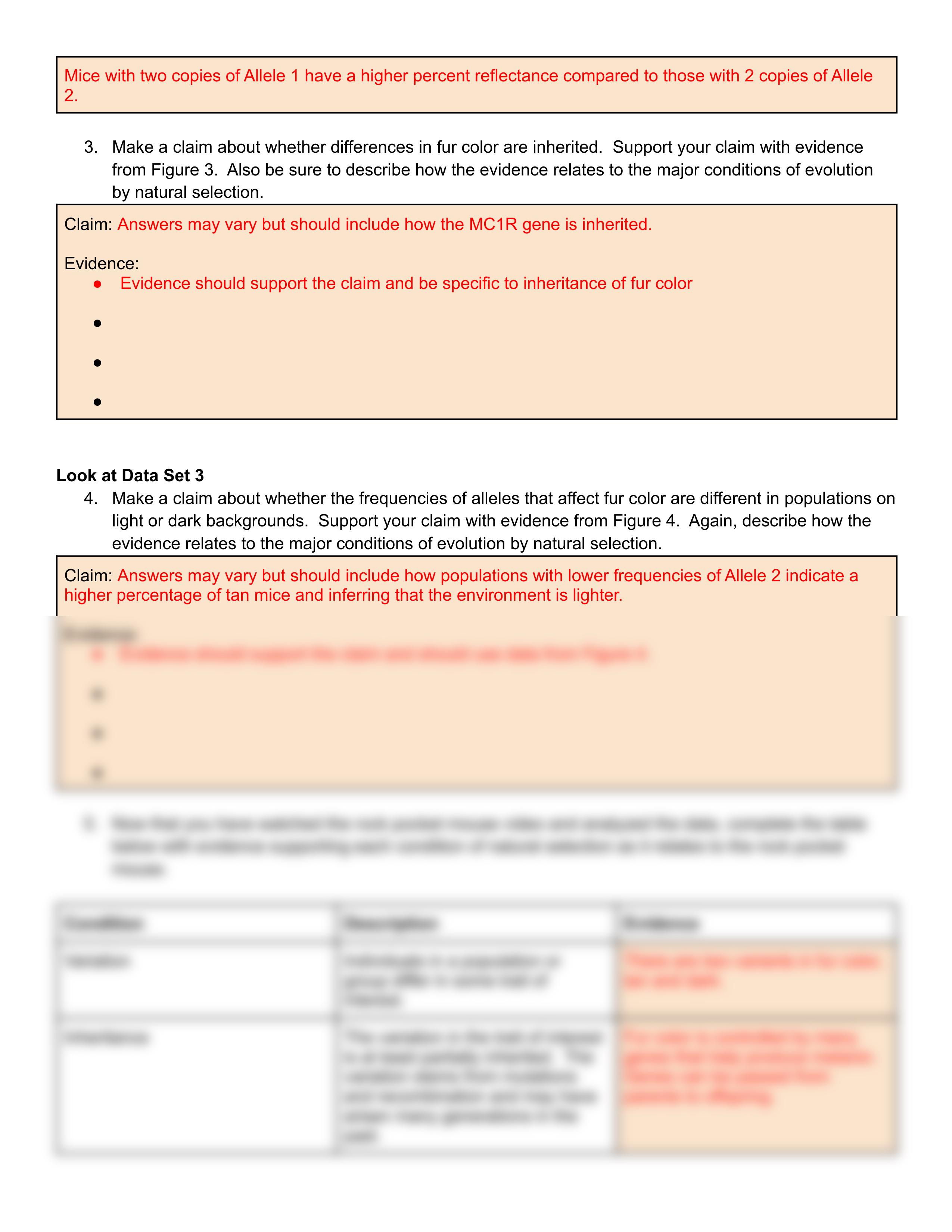 Copy of KEY: Melanin Unit Review.pdf_dcb3iuqto7e_page2