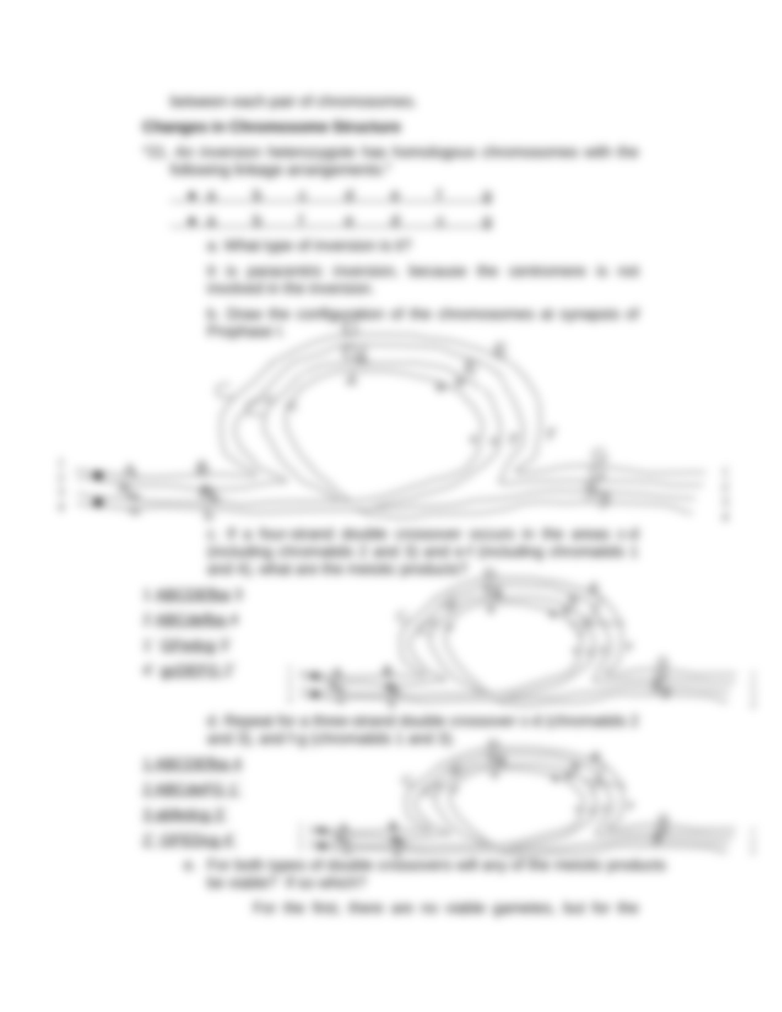 Practice Problems, Chromosome Variation (7,9,10,11,13,21,23)_dcbj5eiq12q_page4