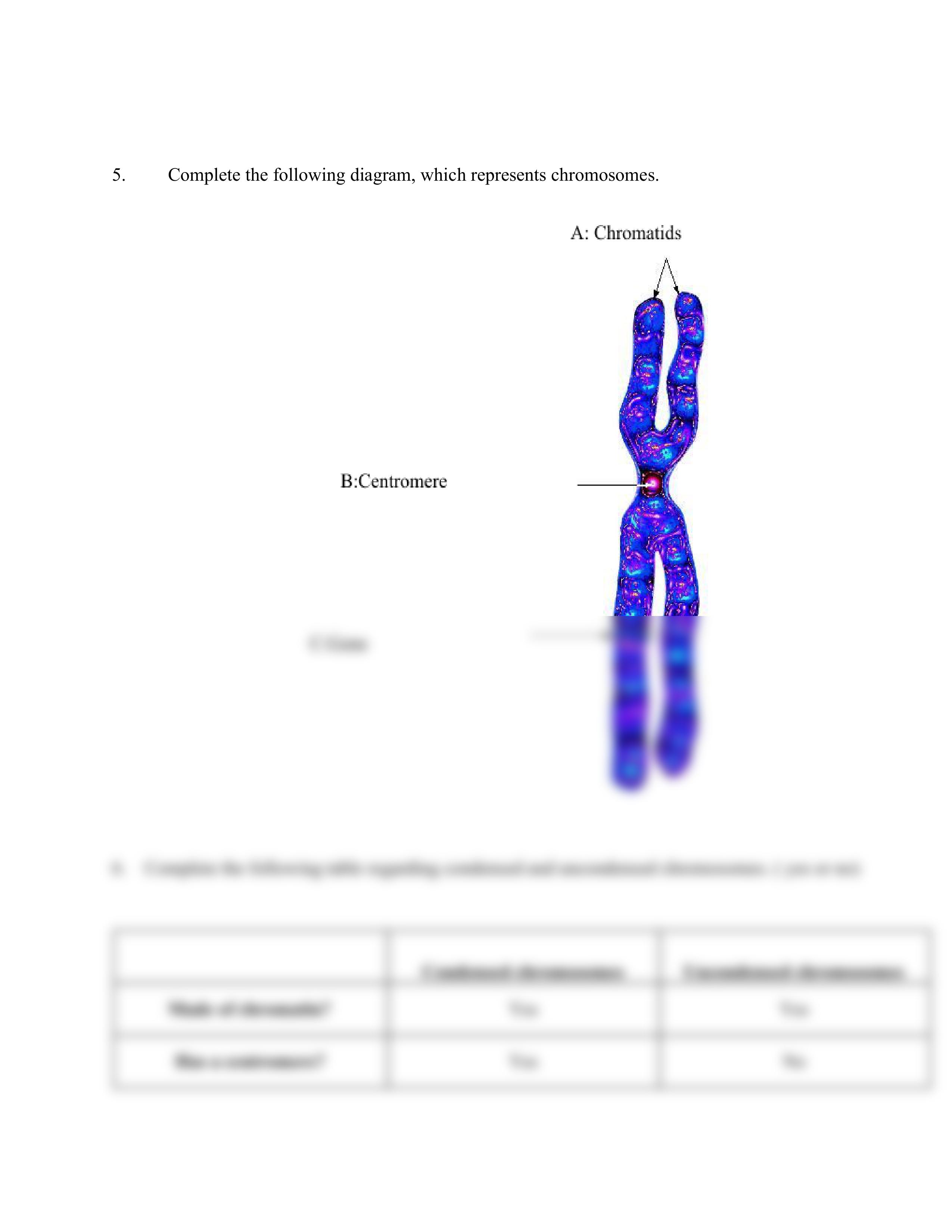 M8 Assignment(1).pdf_dcgm70ikt4n_page2