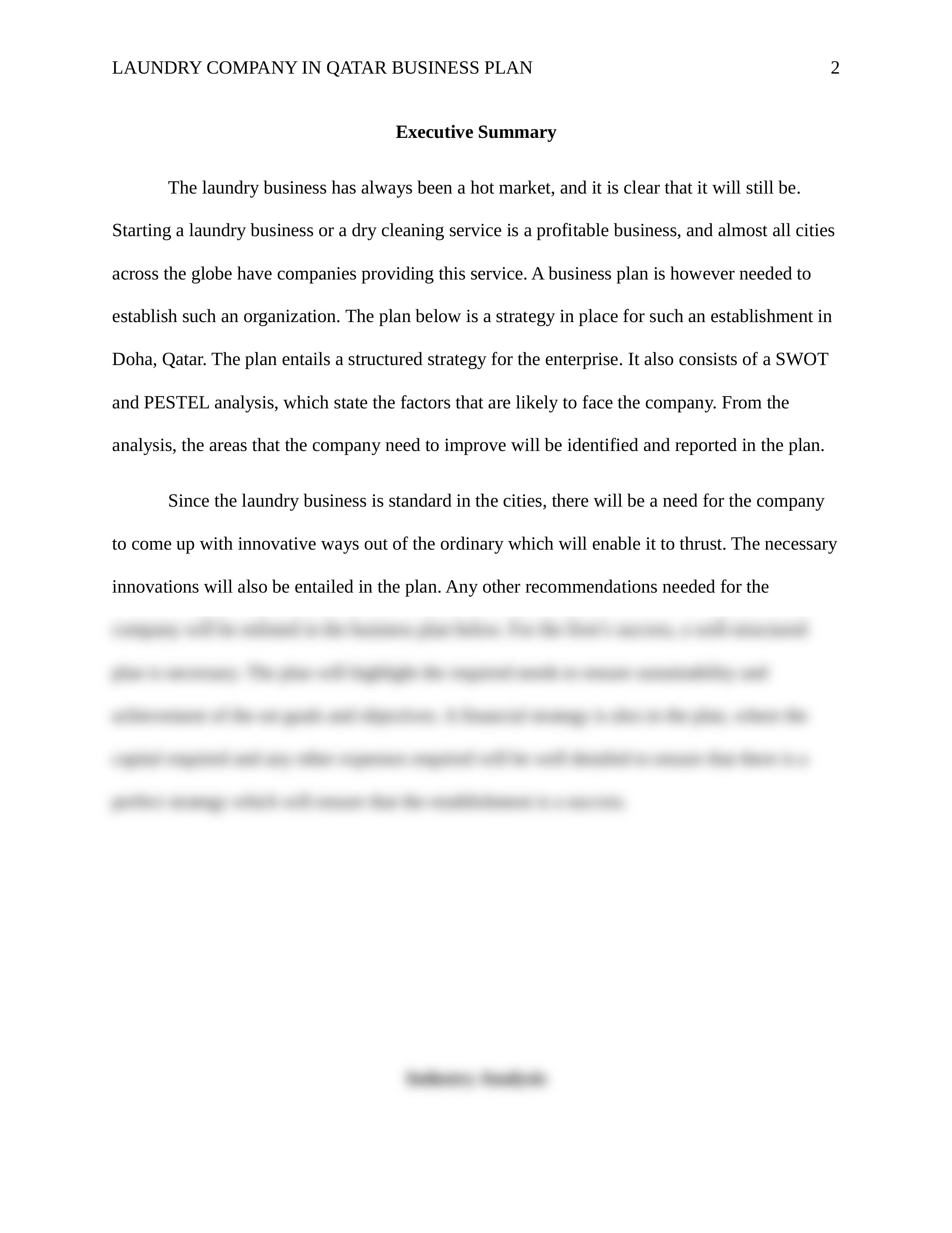 LAUNDRY_COMPANY_IN_QATAR_BUSINESS_PLAN.docx_dcgmpe174h6_page2