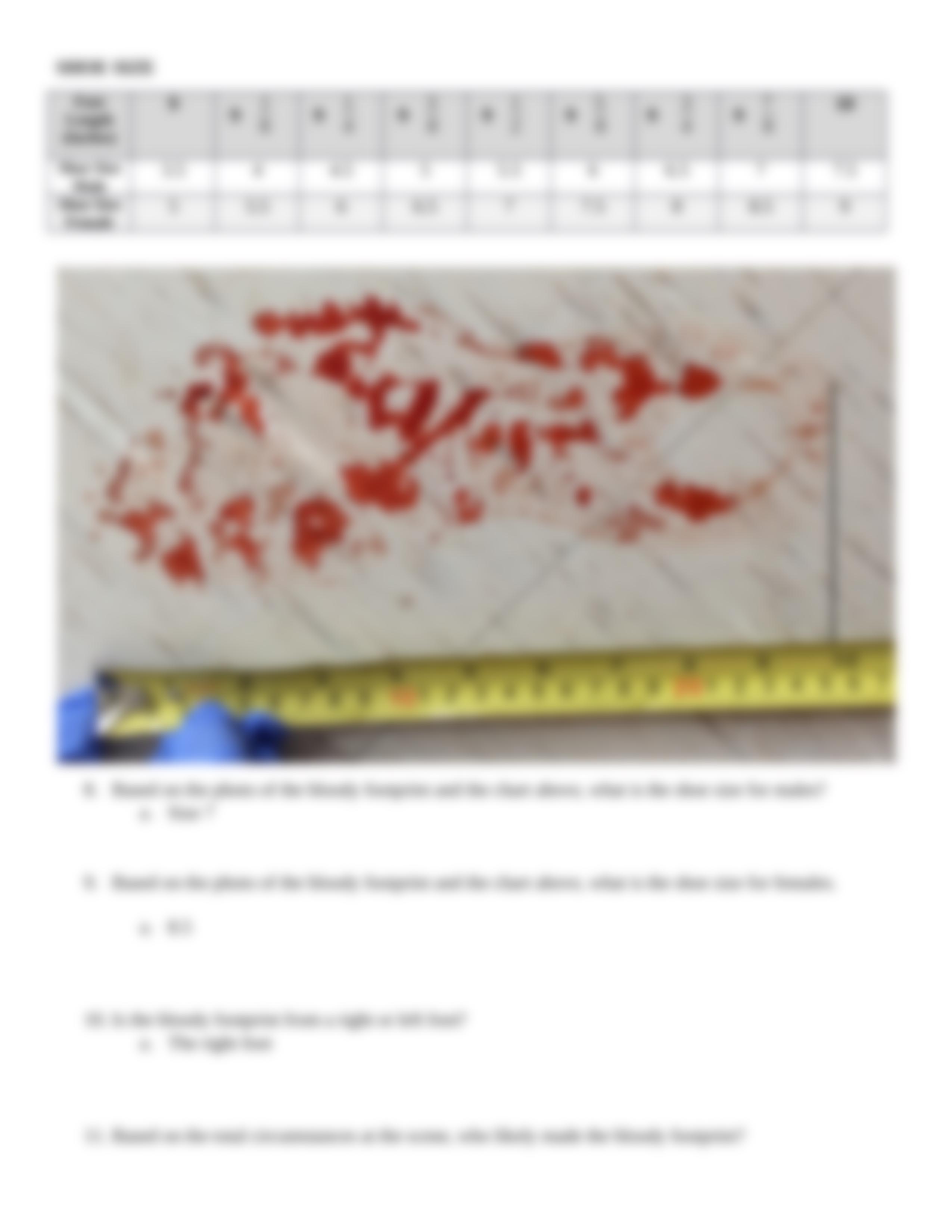 Crime Scene 1 Worksheet (2).docx_dcio4cm92v2_page3